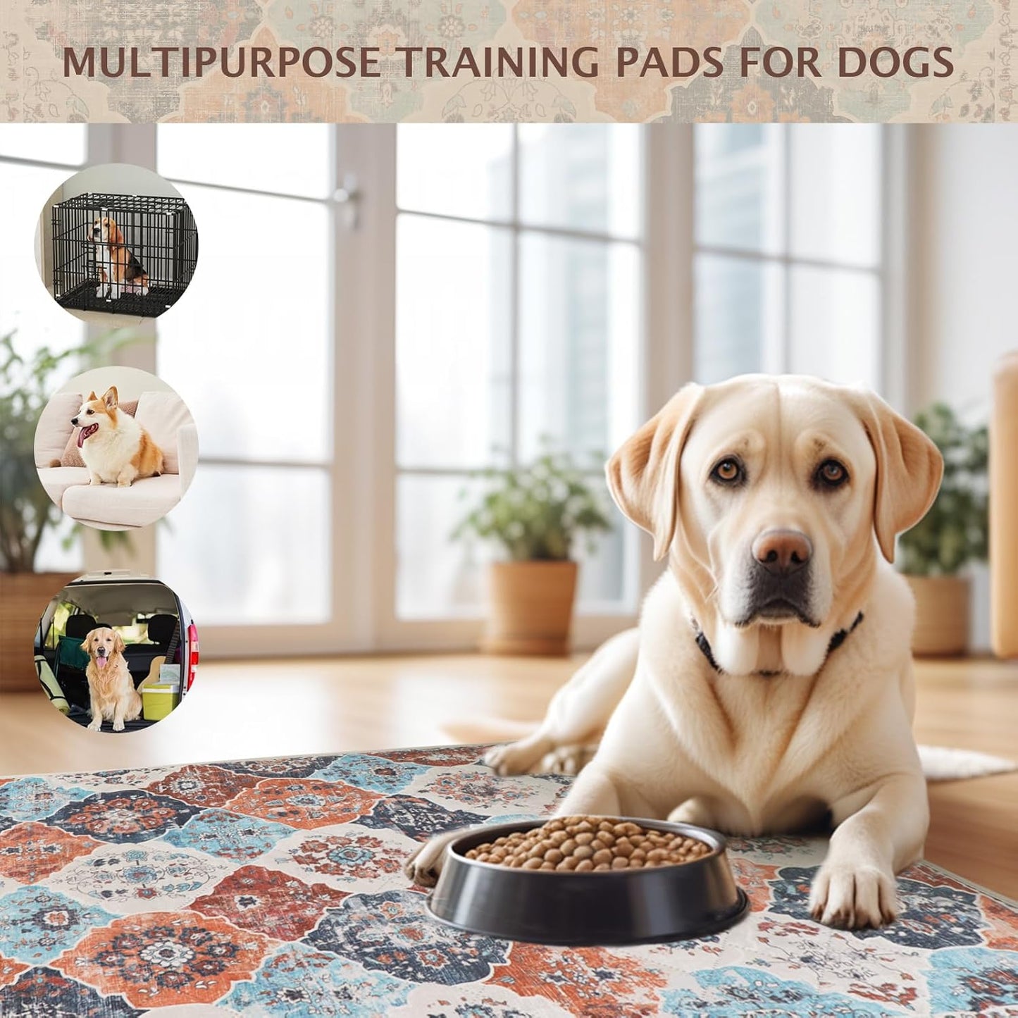 IEUUMLER Washable Pee Pads for Dogs, 1 Pack Reusable Non-Slip Grip, Super Absorbent Waterproof Puppy Pads for Potty Training, Playpen, Crate, Whelping Box EU011 (Orange, 63" x 63")