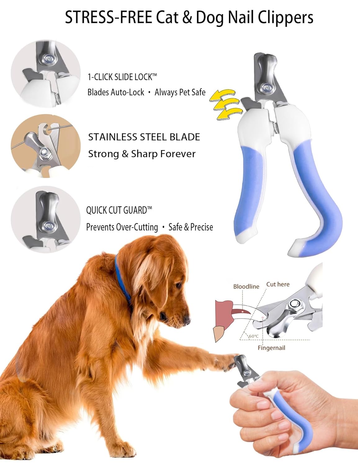 6ps Dog Cat Brush Grooming Kitf, Dog Cat Brushes, Bath Brush, Dematting Rake and Comb, Nail Clipper, Nail File, Flea Comb (Blue 6 Kits)