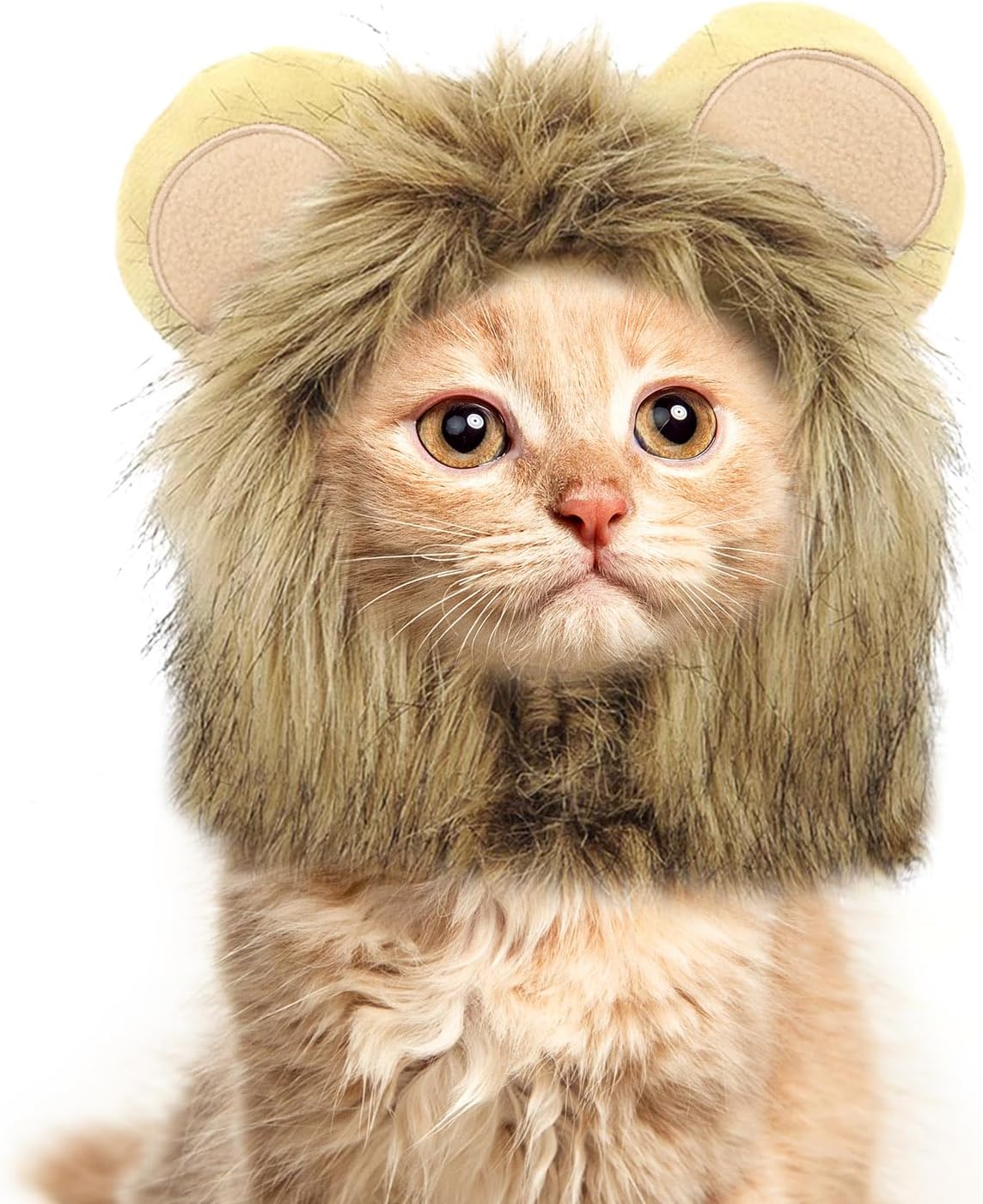 Enjoying Cat Lion Mane Costume, Small Dogs Halloween Outfit, Lion Mane Wig for Cat Cosplay, Kitten Lion Hat for Halloween Themed Party, Daily Cosplay