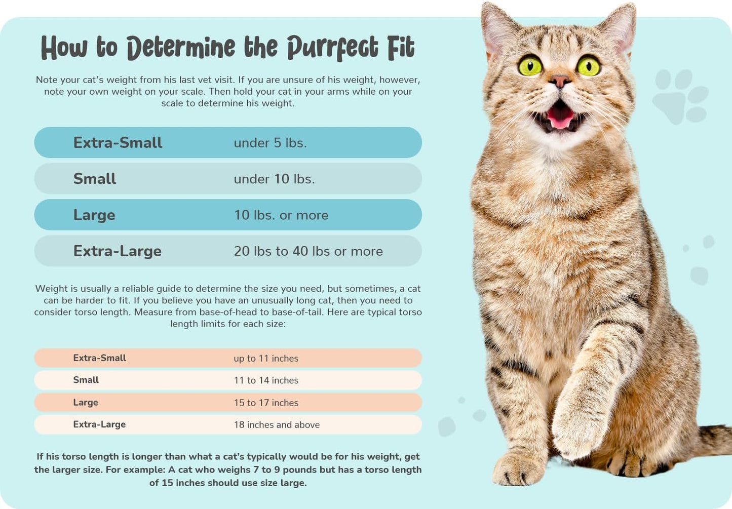 Cozy Comfort Carrier - X-Small Lavender Cat Carrier Soft, Cat Restraint Bag and Cat Sling Carrier for Grooming, Vet Visits, Medication Administration, Dental Care, and Nail Trimming