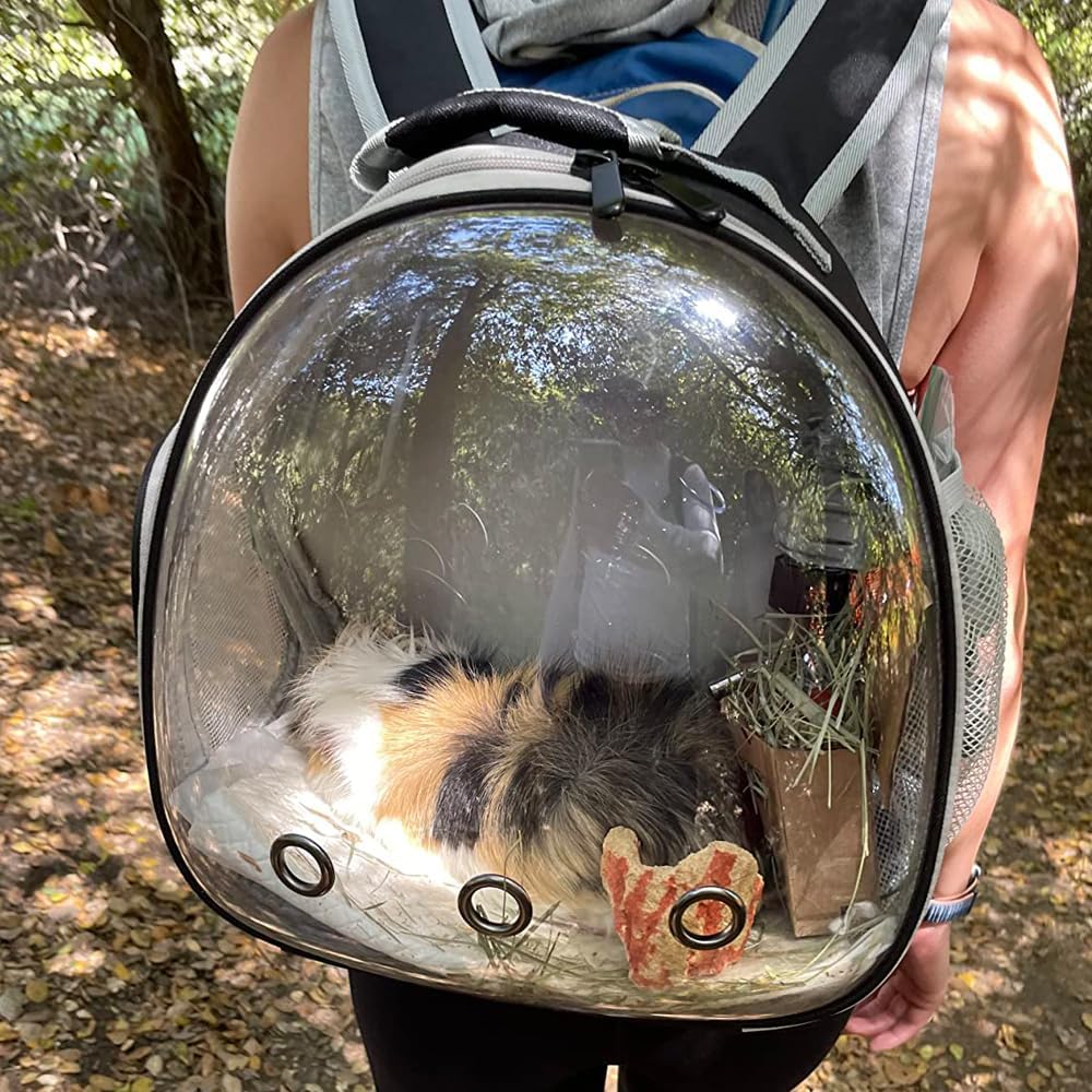 Guinea Pig Carrier Backpack,Lizard Backpack Carrier,Space Capsule Clear Bubble Window Astronaut Reptile Carrier Backpack for Bearded Dragon,Sugar Glider,Bunny (Pink, Backpack)