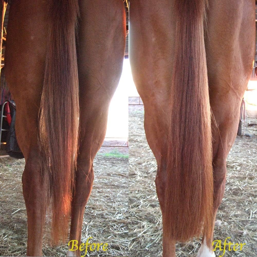 Horse Tail Extensions with Braided Horsehair Loop, Blunt Cut Bottom, 34-36 inches Long and 1 lb Weight (Light Sorrel)
