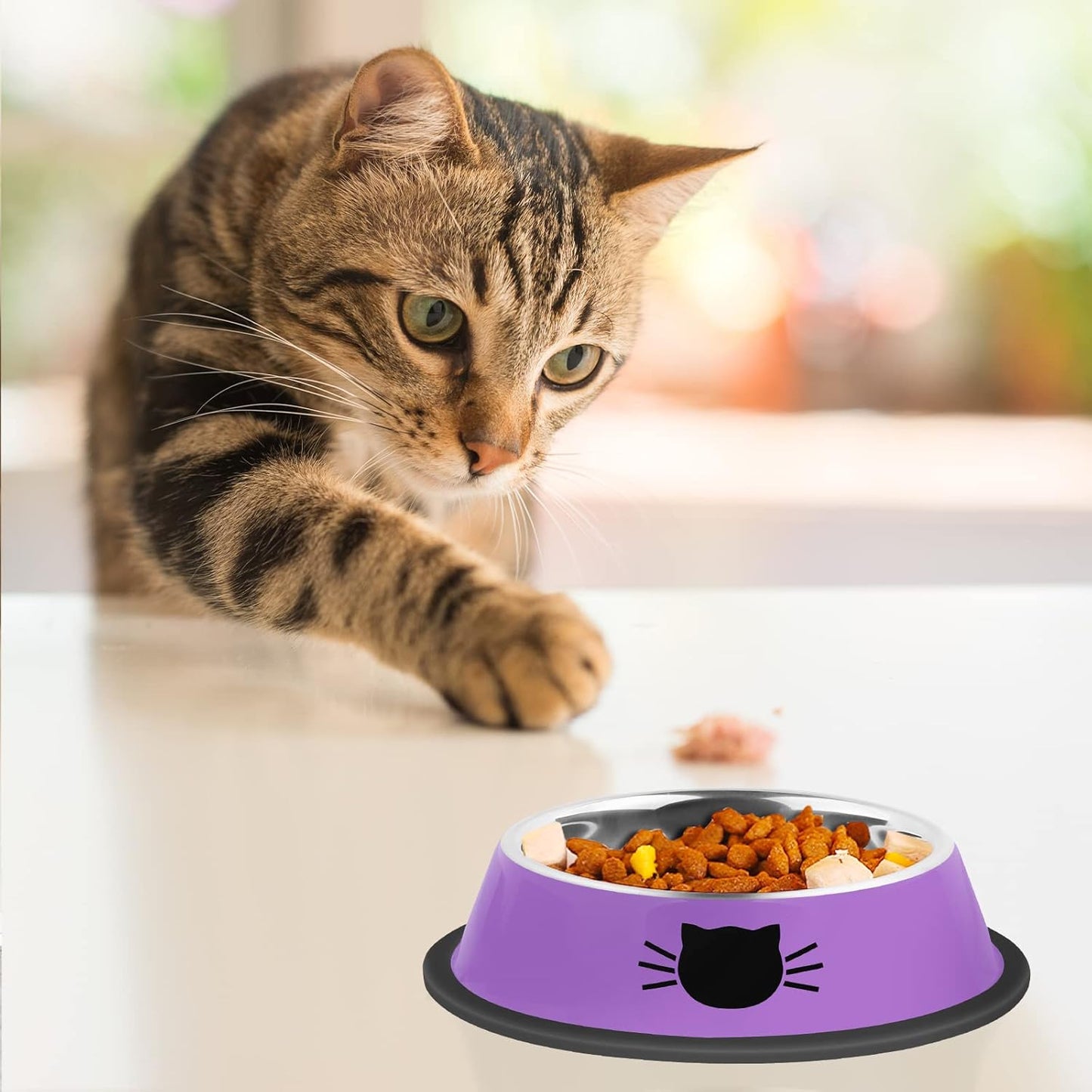 3Pcs Cat Bowls, Non-Slip Stainless Steel, 7 Oz, Suitable for Indoor Pets, Removable Rubber Base, Lovely Color