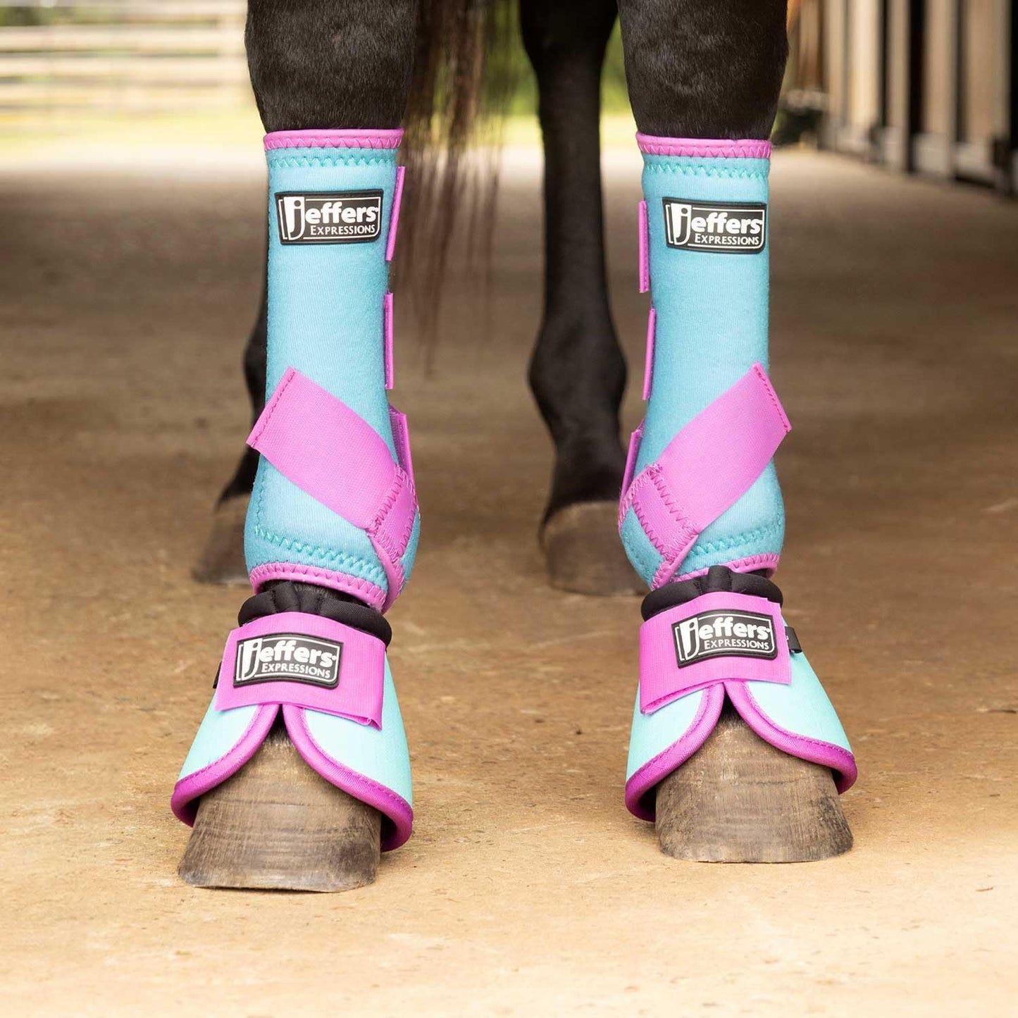 Jeffers Equine Neon Horse Boots – 1 Pair – Turquoise & Purple – Medium Size – Breathable Neoprene, Secure Straps Closures – Durable Protection for Front & Hind Legs, Trail & Riding Use