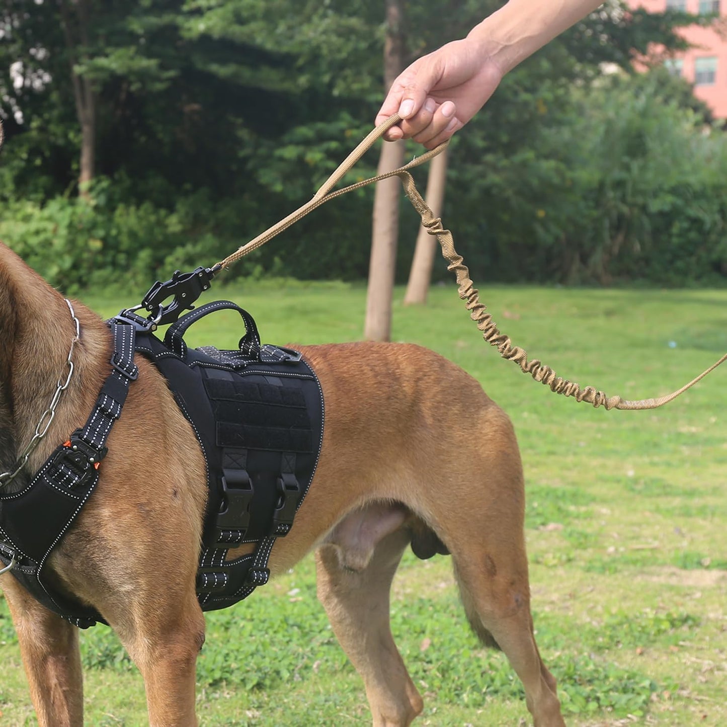 ICEFANG Tactical Dog Leash,K9 Training Walking Bungee Lead with 2 Control Handle,Heavy Duty Quick Release Metal Clasp,Hands Free D-Ring for Medium Large Dogs (4ft,Reflective Brown)