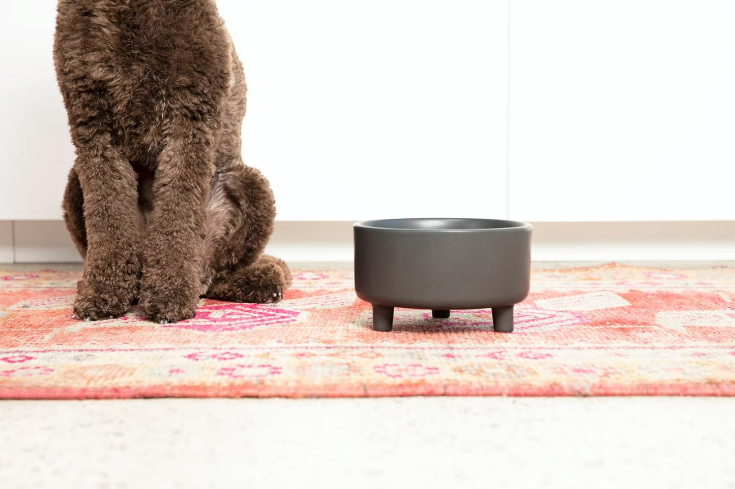 Waggo Uplift Ceramic Dog Bowl for Small Medium and Large Breeds - Heavyweight and Durable Pet Food and Water Dish Crock, Dishwasher Safe, Modern, Elevated Feeder (Small, Teracotta)