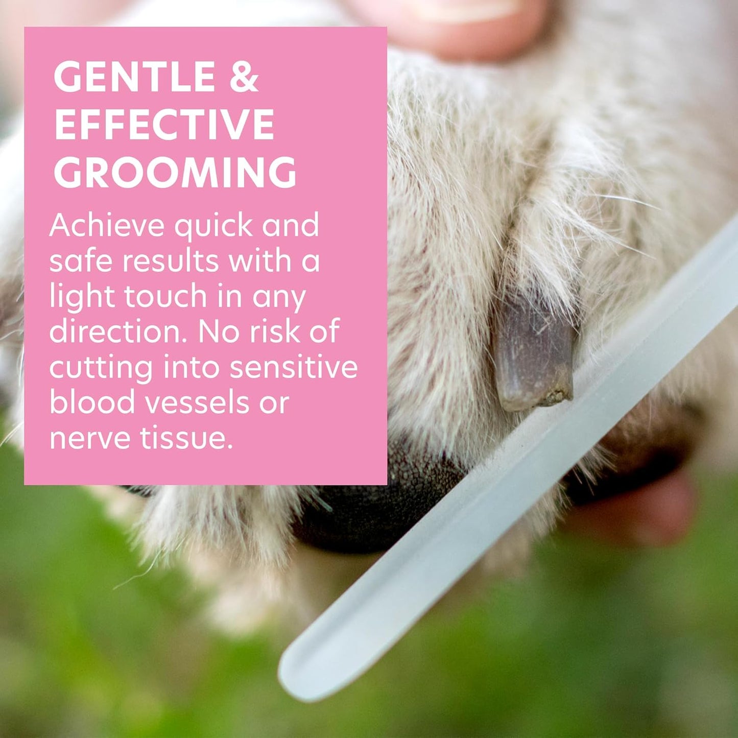 Bona Fide Beauty Pet Nail File Made of Czech Glass, Quiet and Painless Pet Nail Filer for Small Dogs, Cats, Birds, and Rabbits