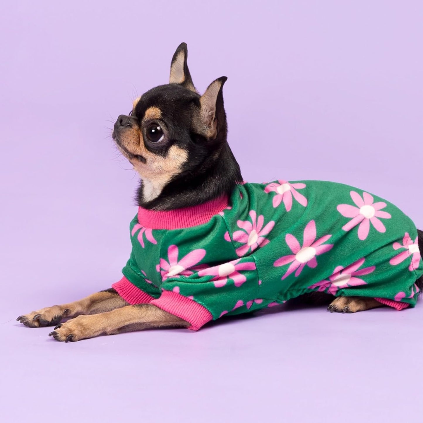 Fitwarm Flower Fleece Dog Pajamas, Warm Winter Dog Clothes for Small Dogs Girl, Cozy Pet Onesie with Feet, Dark Green, Small