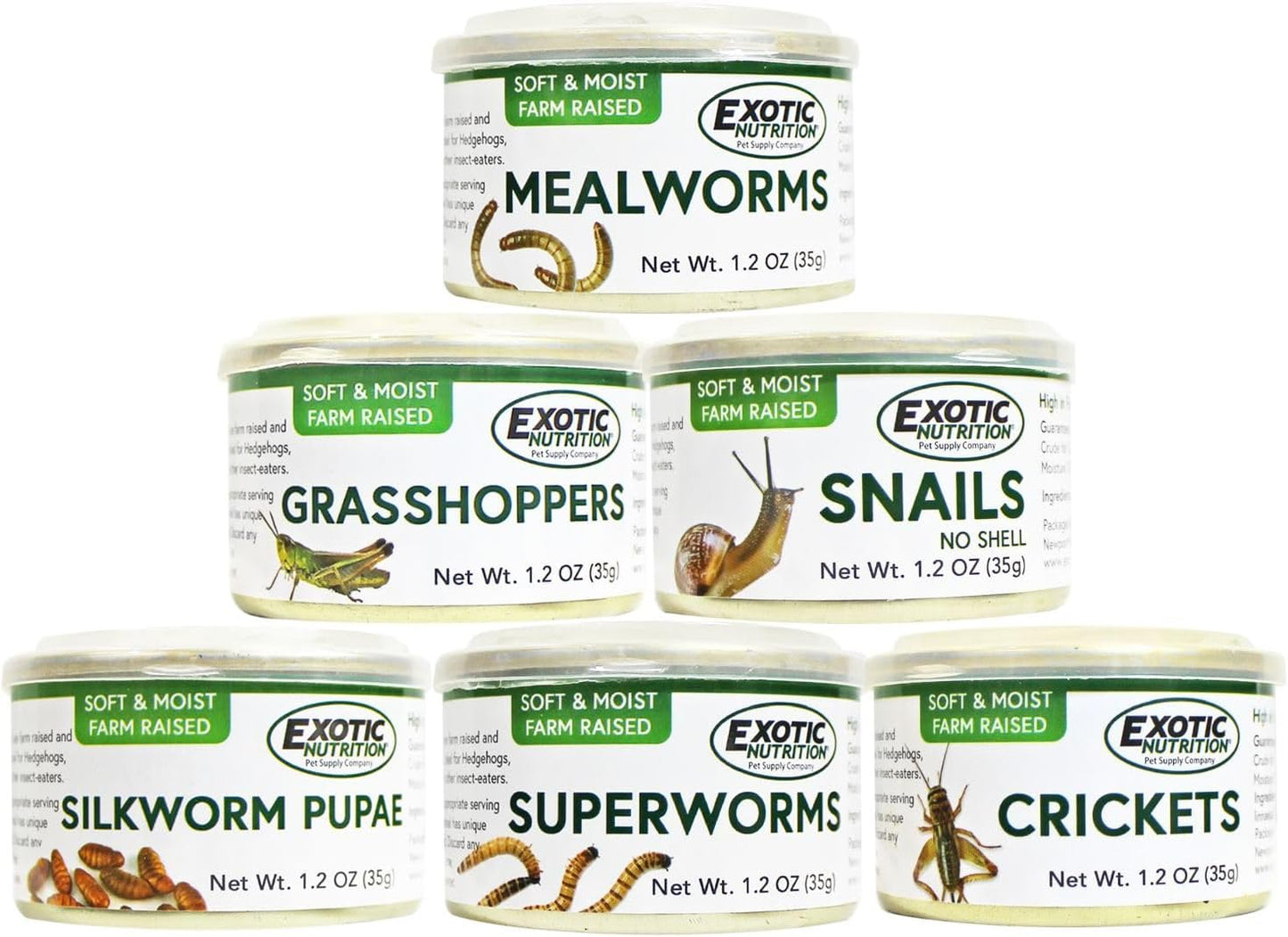 Canned Insect Assortment 6 Pack - Healthy High Protein Treat - For Hedgehogs, Sugar Gliders, Reptiles, Chickens, Lizards, Bearded Dragons, Turtles, Fish, Birds, Opossums, Skunks and other Insectivores