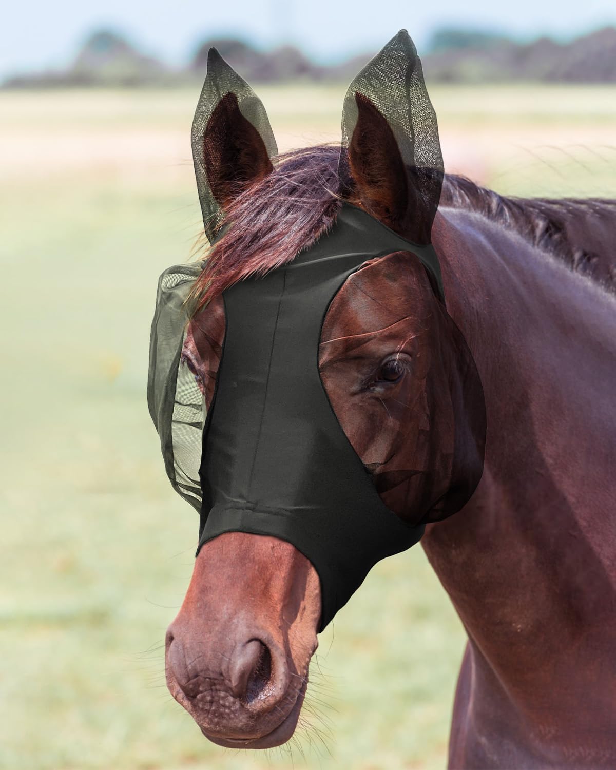 JWODVNTH Fly Masks for Horses with Ears - Large Eye Space, Comfort, UV-Block - Horse Fly Mask for Daily Stable, Hot Weather Riding, and Competition - Pony, Black