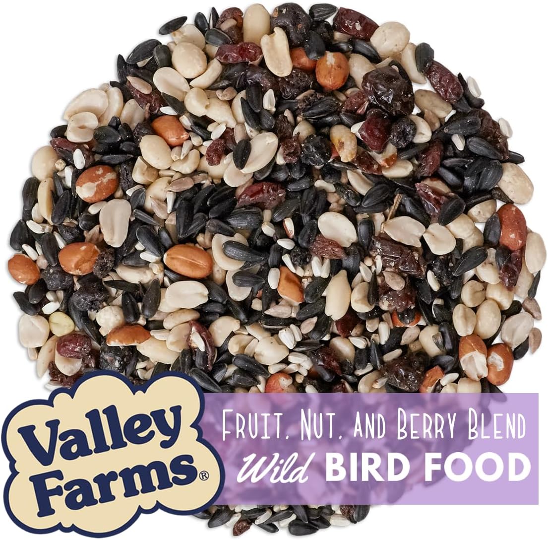 Valley Farms Fruit Nut & Berry (4 LB) Wild Bird Food Outside Feeders, Bird Seed with Dried Fruit, Peanuts, Sunflower, and Safflower, High Energy Mix for Healthy Birds!