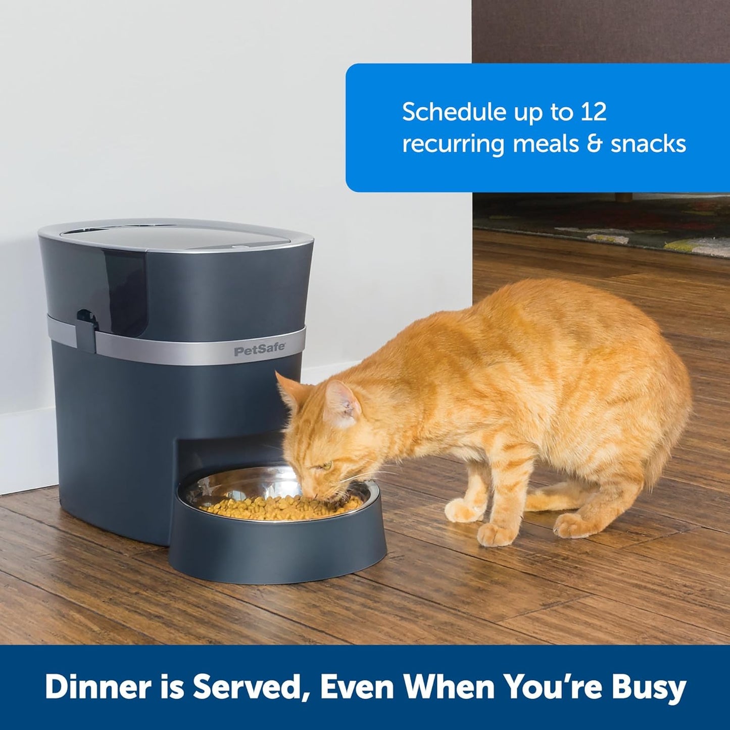 PetSafe Smart Feed - Electronic Pet Feeder for Cats & Dogs - 6L/24 Cup Capacity - Programmable Mealtimes - Alexa, Apple & Android Compatible - Backup Batteries Ensure Meal Delivery During Power Outage