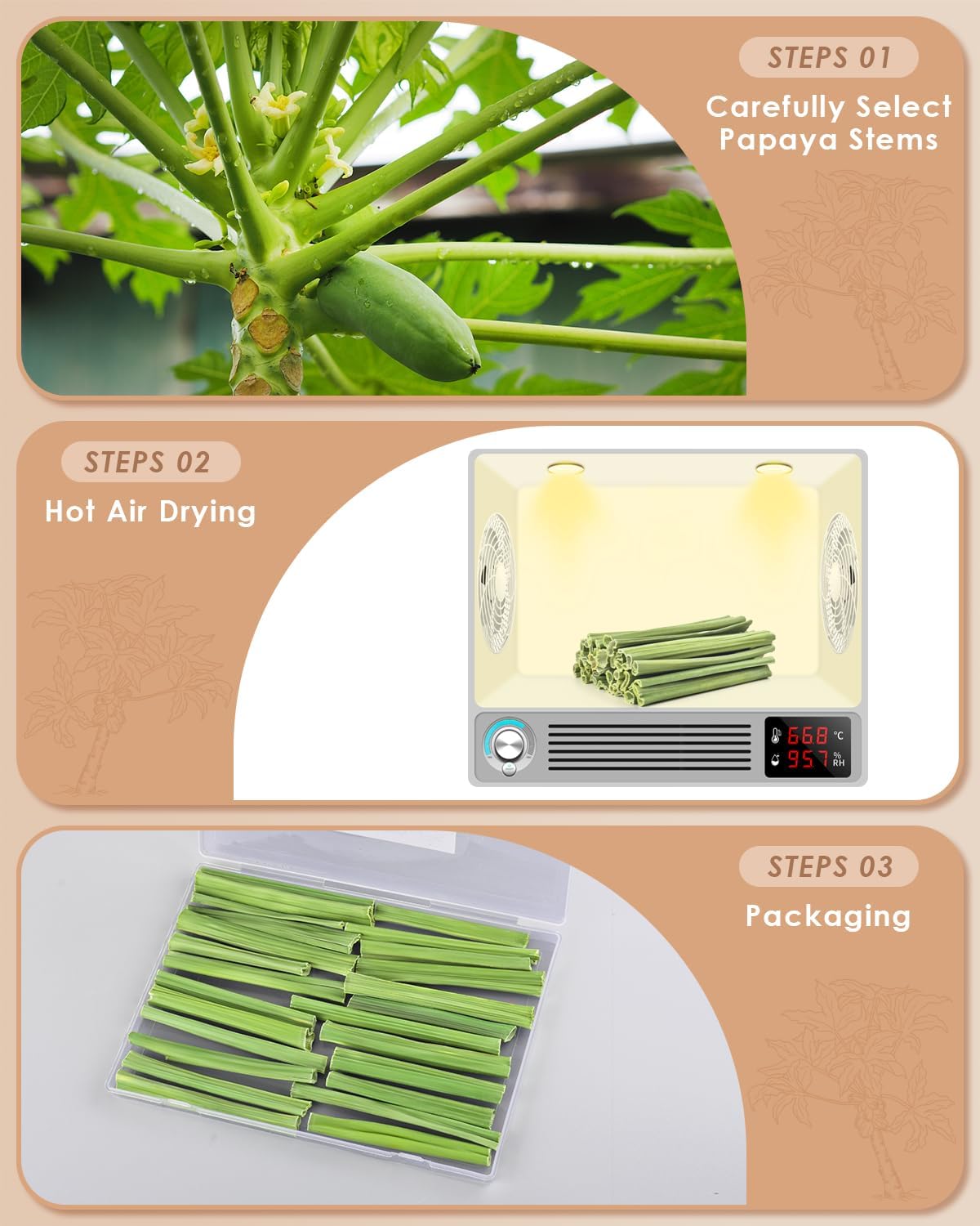 Bissap 25 PCS Guinea Pigs Chew Sticks, Natural Papaya Stems Bunny Chews Treats for Hamsters Chinchillas Small Animals Organic Molar Chewing Snack