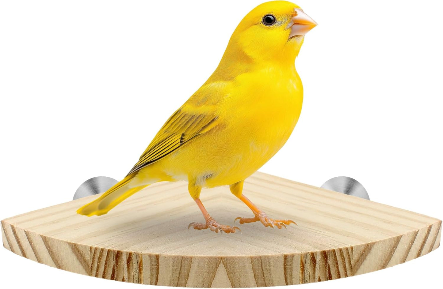 Bird Perch Corner Stand for Bird Cage Corner Platform Wood Bird Perches Corner Shelf Rest for Birds Parrots Cockatiels and Other Animal Pet Cages (Wood, Flat - Small)