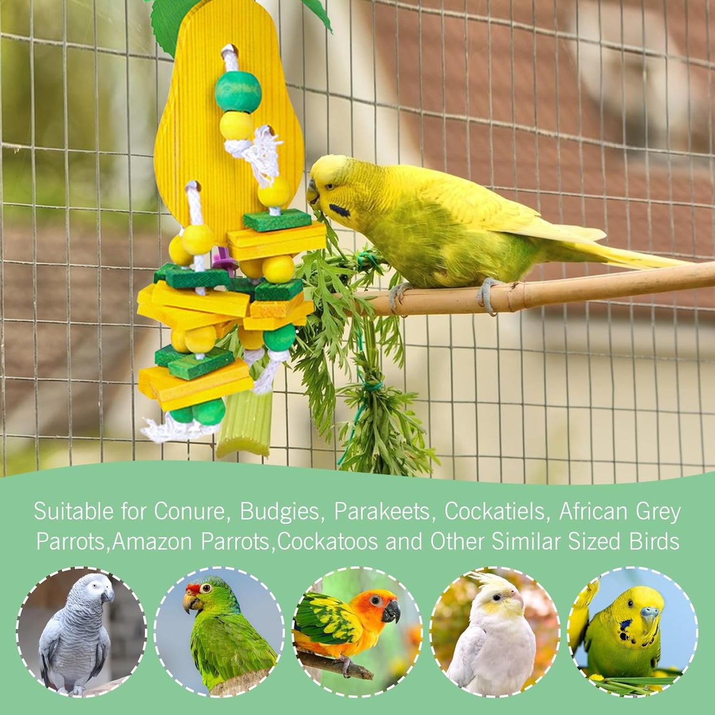 Hamiledyi Natural Wood Block Bird Cage Toys Parrot Chewing Toy Tomato&Peach&Pear&Strawberry Shaped Hanging Foraging Toy for Small&Medium Birds Parakeets Cockatiels,4pcs