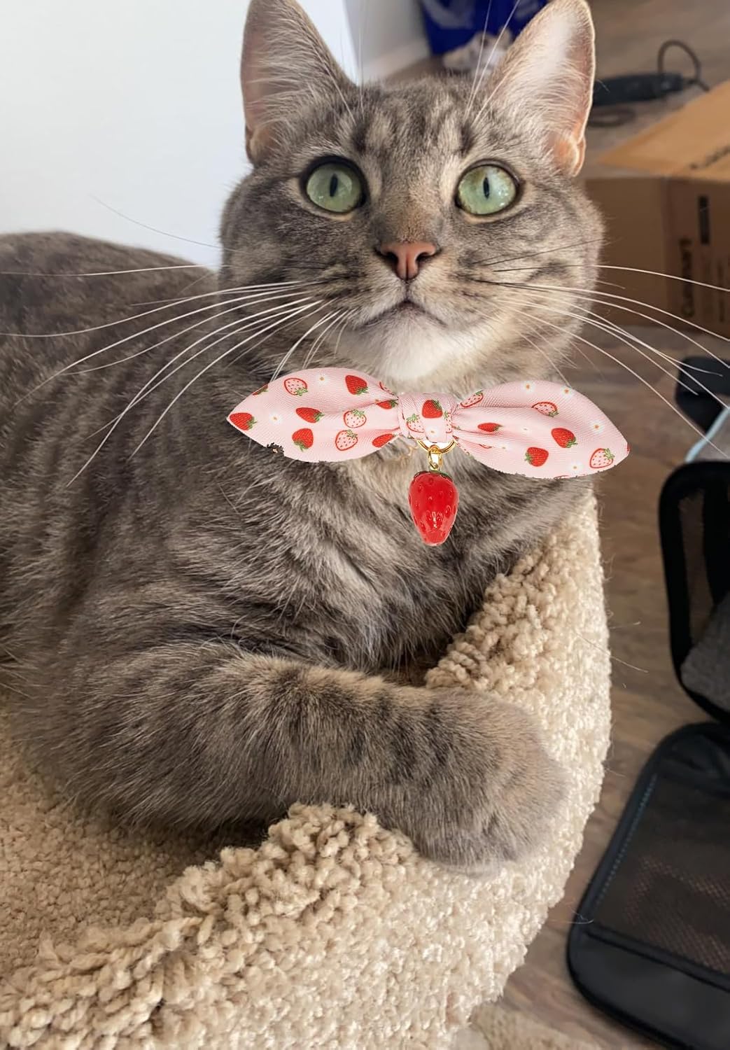 2 Pack Breakaway Cat Collars with Cute Bunny Ear Bowtie and Bell, Bow Tie Kitty Collars for Female Girl Cats(Yellow Bee & Pink Strawberry)