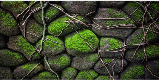 AWERT 30x18 inches Stone Aquarium Background Rock Fish Tank Background Rocky Terrarium Background Vinyl