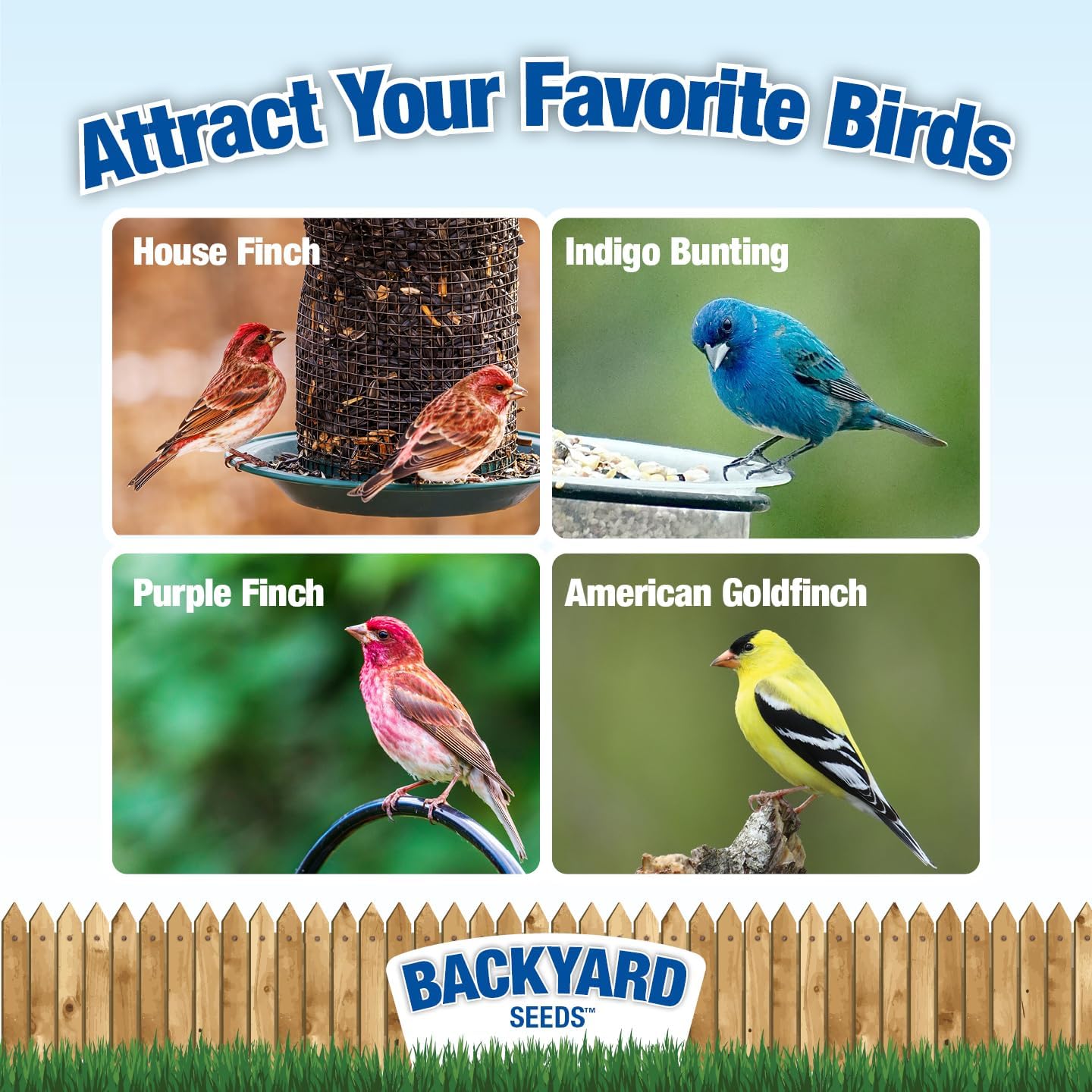 Backyard Seeds Thistle Bird Seed for Finches 50 Pounds