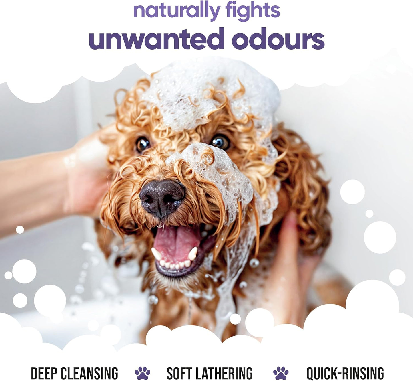 Calming & Deodorising Dog Shampoo by Buddycare | Lavender Scented | Itchy Skin Relief for Smelly Dogs | Deep Cleansing Shampoo for Dogs Puppy Sensitive Skin | with Aloe & Vitamin B5 (16.90oz)