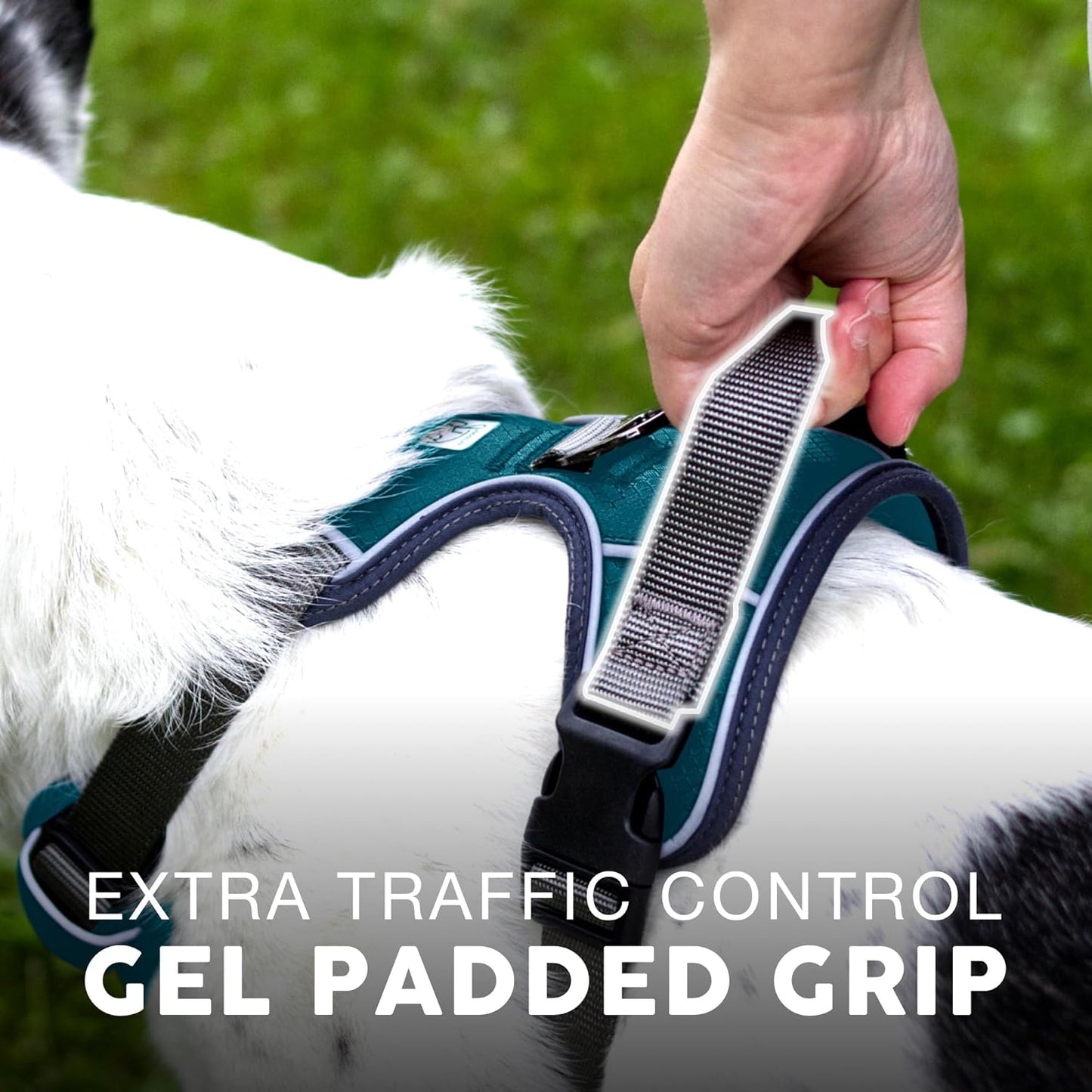 Embark Adventure Dog Harness, No-Pull Reflective Trim Dog Harness for Small, Medium & Large Dogs - Military Grade Nylon, 2 Leash Clips & Gel Lined Handle. Soft & Padded Puppy Dog Vest for Any Breed