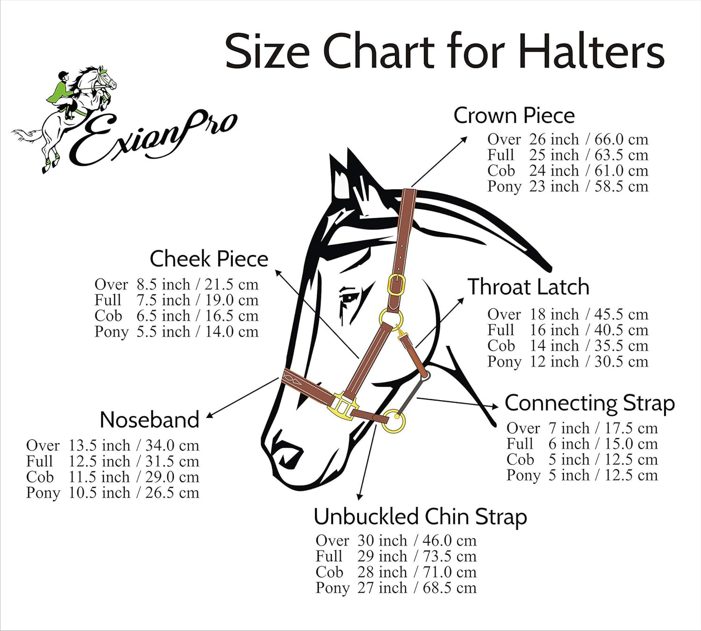 Exion Leather Horse Halter with Padding & Clincher Studs – Adjustable Quick‑Release Crownpiece Halter for Horses – Vegetable‑Tanned Leather in Black & Brown – Cob, Full & Oversize