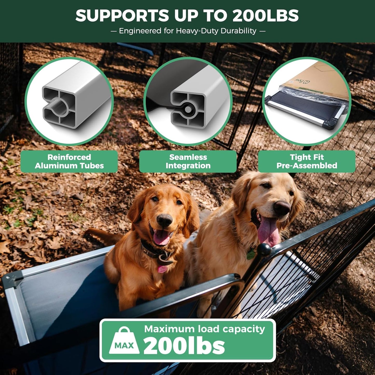 FXW TitanNest Chew-Proof Elevated Dog Bed, Raised Cot for Indoor/Outdoor/Camping Use, Durable & Washable Padded Pet Bed for Medium Dogs, 42.0" L x 27.0" W x 5.0" H, Gray