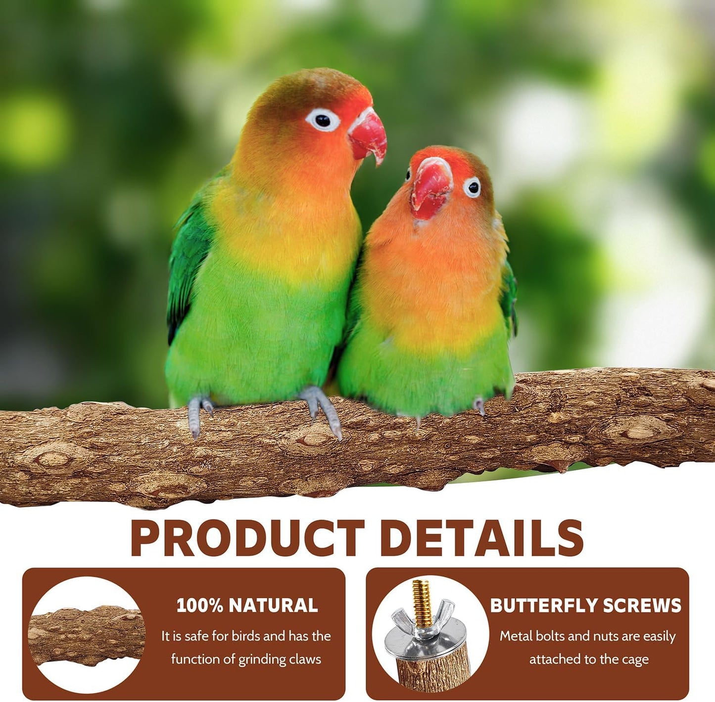 7-Piece Bird Perch Set: 3 Grapevine Paw Grinding Forks, 2 Wood Stands & 2 Hammocks - Cage Accessories for Parakeets, Cockatiels, Conures, Budgies