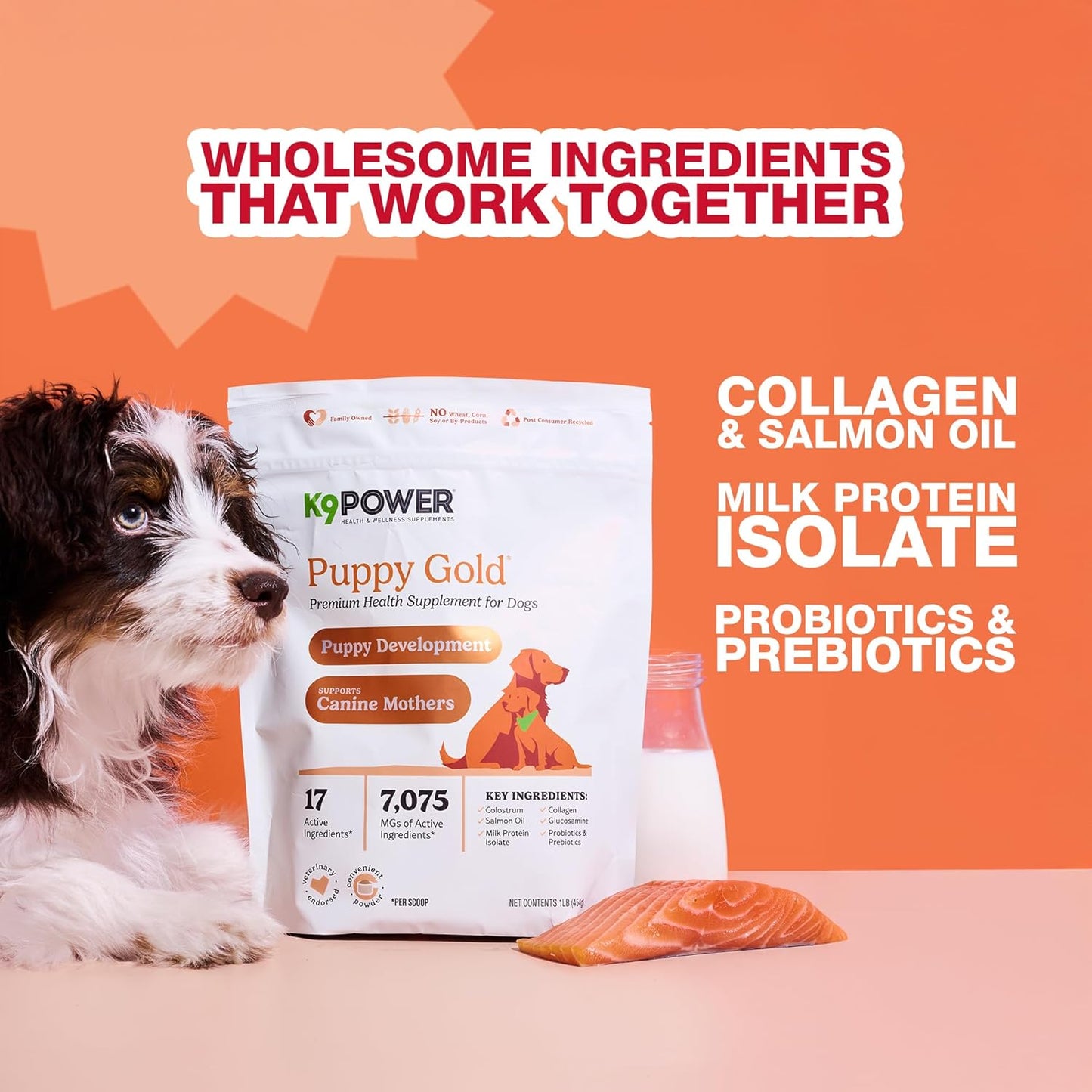 K9 Power Puppy Gold 1 lb - Supplement for Growing Puppies & Nursing Mothers - Essential Nutrients for Healthy Growth & Development - 45 Scoops