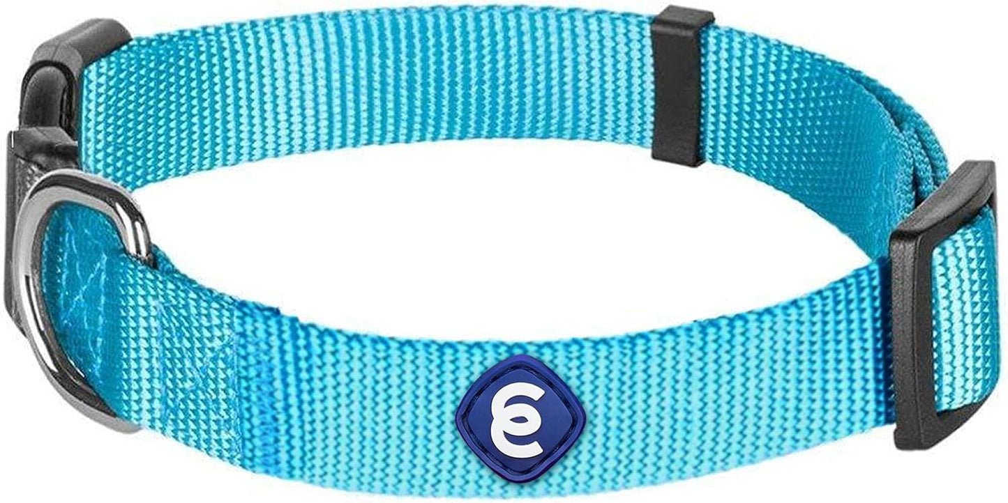 Blueberry Pet Essentials Turquoise Dog Collar | Adjustable Eco-Friendly Nylon Strap | Dog Collars for Small Dogs, Boy Dog Collar, Puppy Collar | 12-16 Inches