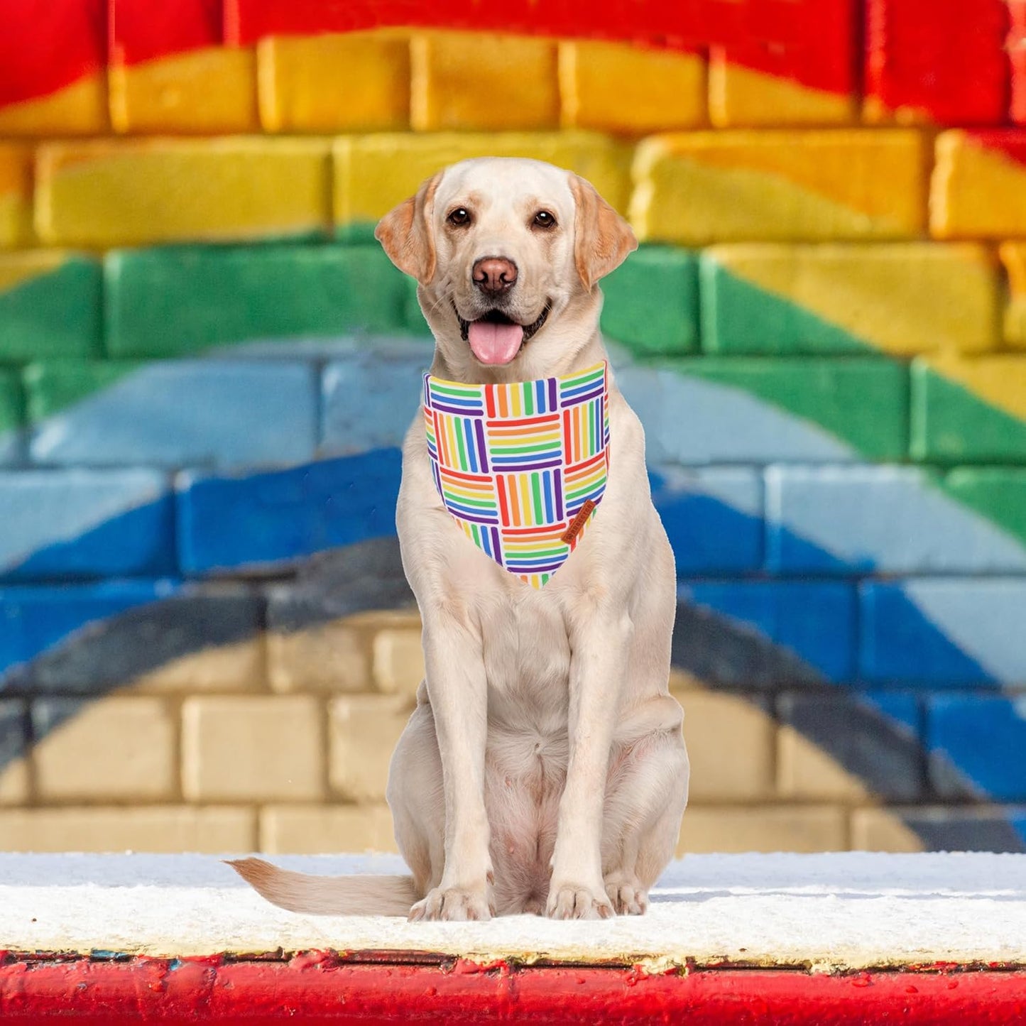 ADOGGYGO Rainbow Dog Bandana, Holiday Pet Scarf, Adjustable Fit Colorful Rainbow Bandanas for Medium Large Dogs Pets (Large)