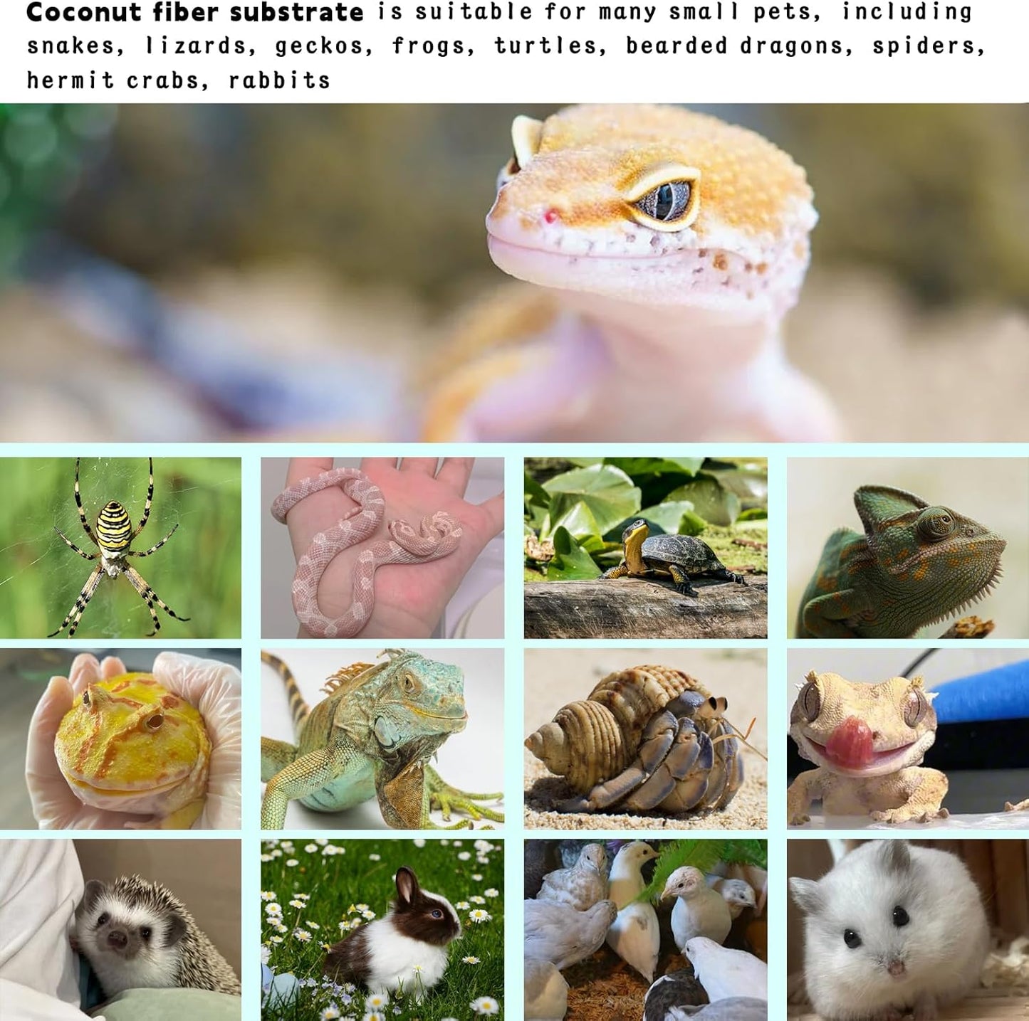 Hamiledyi 157x15.7in Reptile Carpet Coconut Fiber Substrate Large Coco Liner Roll Lizard Cage Mat Natural Coco Fiber Bedding for Bearded Dragon Turtles Iguana Tortoise Pad Garden Decoration