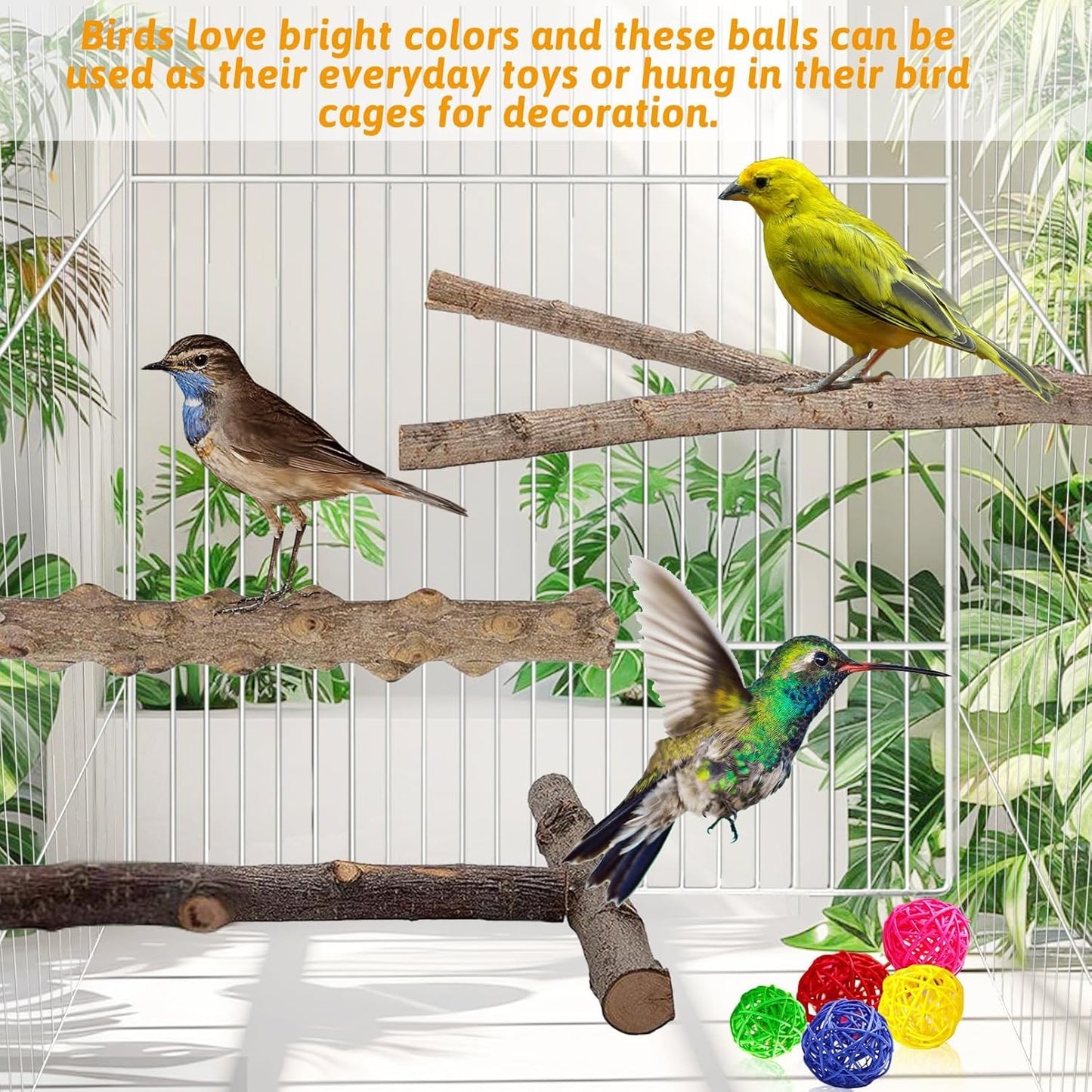 kathson 5pcs Natural Parrot Perch for Cage Wooden Bird Perches Grape Bird Stick Parakeet Climbing Standing Branches Toy Chewable Cage Accessories for Small Budgies Cockatiels Lovebirds Budgies