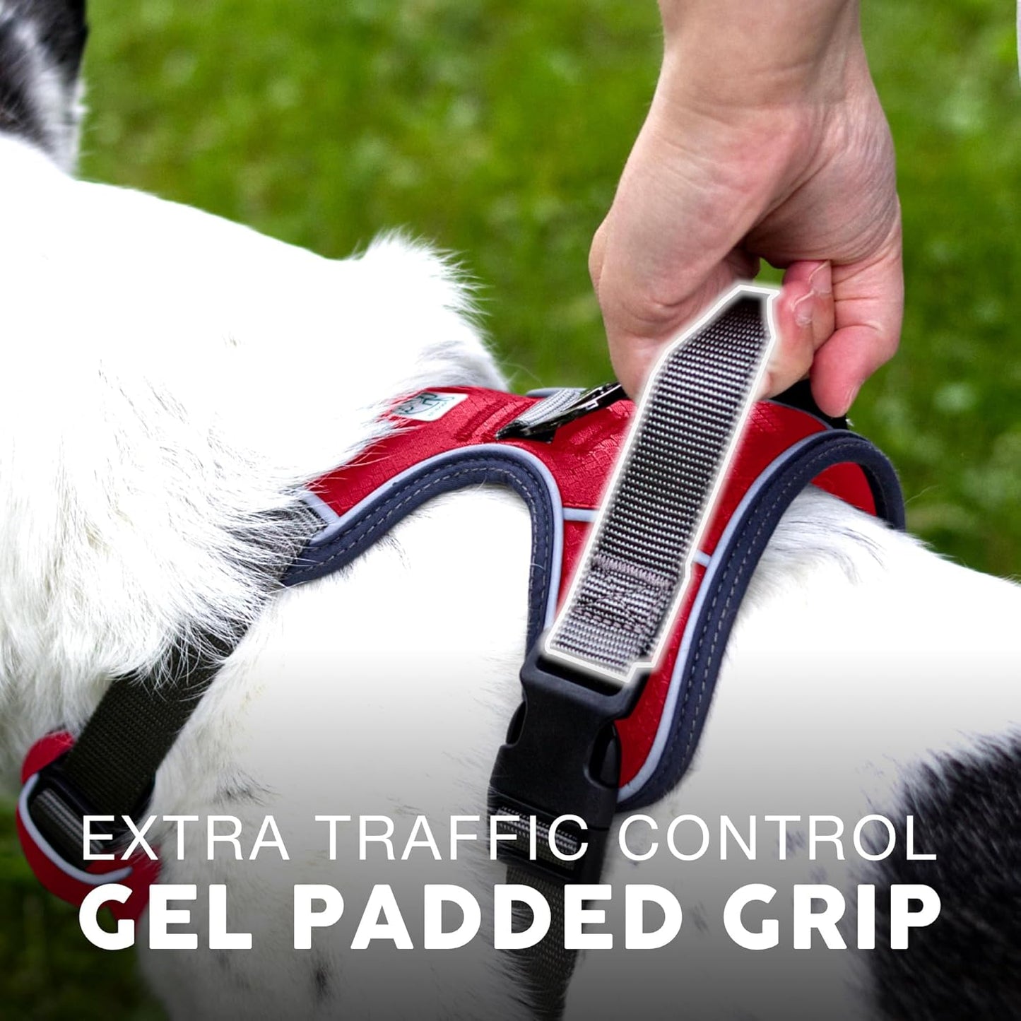 Embark Adventure Dog Harness, Reflective Trim No Pull Dog Harnesses for Small Sized Dogs - Military Grade Nylon, Front Clip with Gel Lined Handle. Soft & Padded Puppy