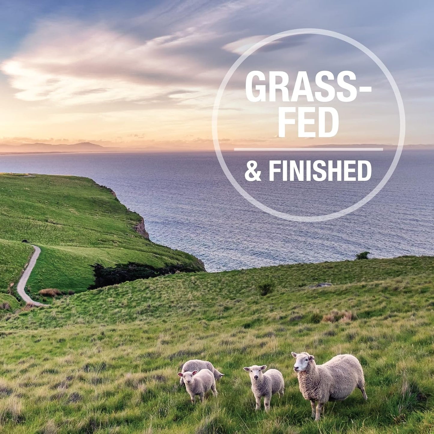 K9 Natural - Grain Free Freeze Dried Dog Food Topper - Lamb & Salmon, 3.5oz