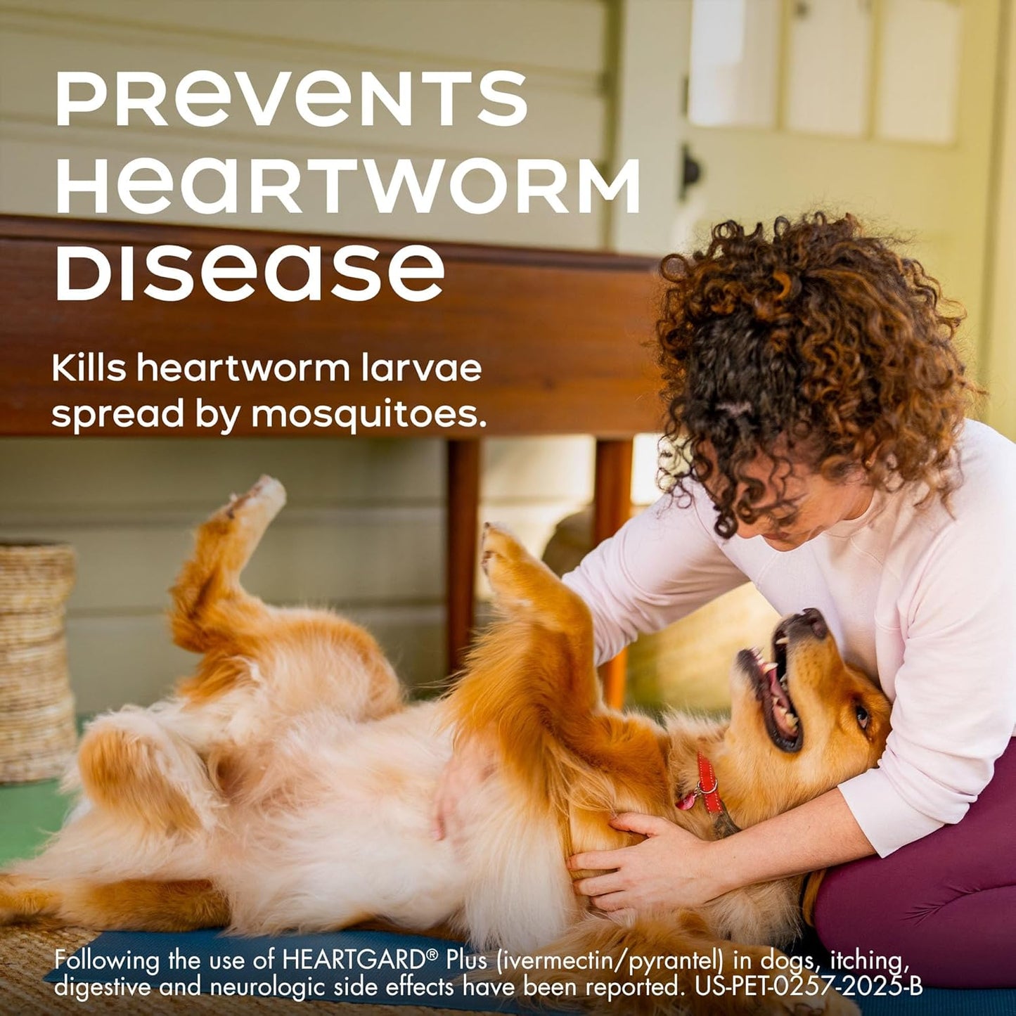 HEARTGARD® Plus (ivermectin/pyrantel) Real-Beef Chewables for Dogs 51 -100 lbs (Brown Box) 1 Month Supply of Chews (Heartworm Disease Preventive)