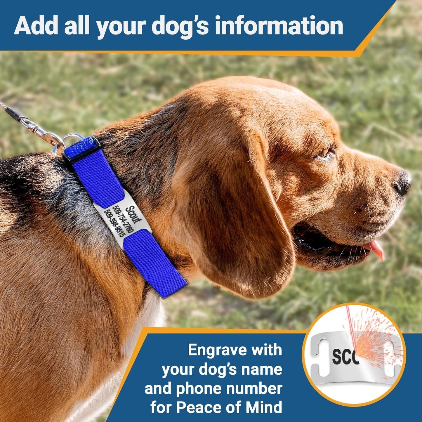 GoTags Reflective Personalized Dog Collar with Nameplate, Adjustable Dog Collar with Custom Engraved Steel Slide On Pet ID Tag, Silent, No Noise Dog Tag for Large Medium or Small (Light Blue, Large)