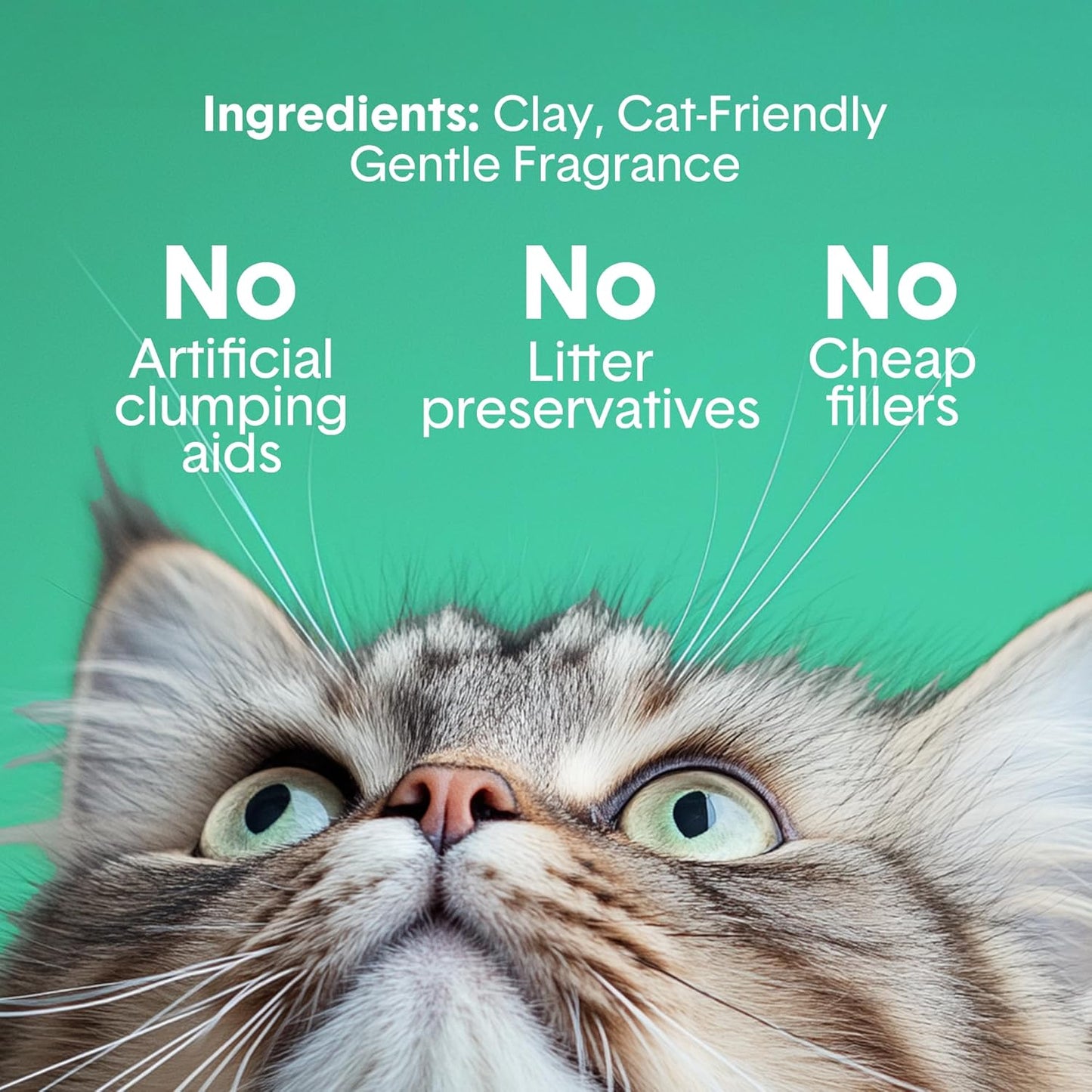Boxiecat Gently Scented Premium Clumping Clay Cat Litter-16-Pounds