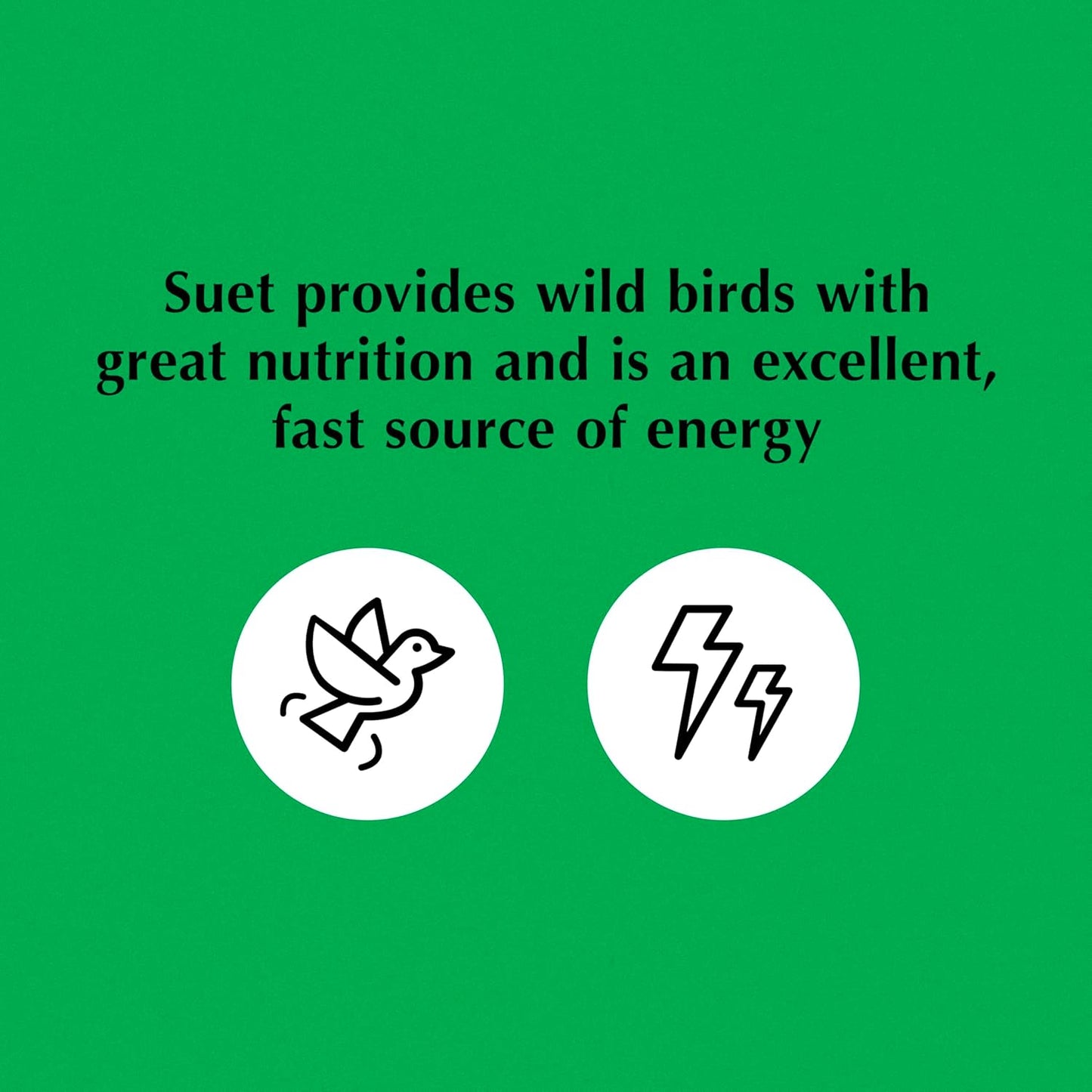 C&S Oriole Delight No Melt Suet Dough 11.75 Ounces 8 Pack