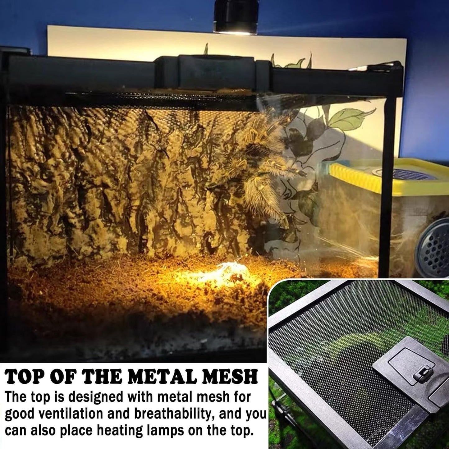 BNOSDM Reptile Tank,8" x 8" x 6" Mini Reptiles Terrarium,Full View Young Lizard Glass Tank,Small Amphibians Habitat Enclosure Cage for Tarantula,Frog,Hermit Crab,Isopods,Insects Breeding Box