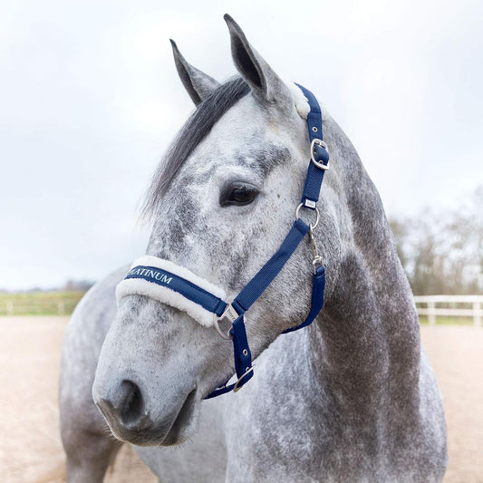 HORZE Howard Soft Fleece Padded Adjustable Polyester Horse Halter - Peacoat Dark Blue - Pony