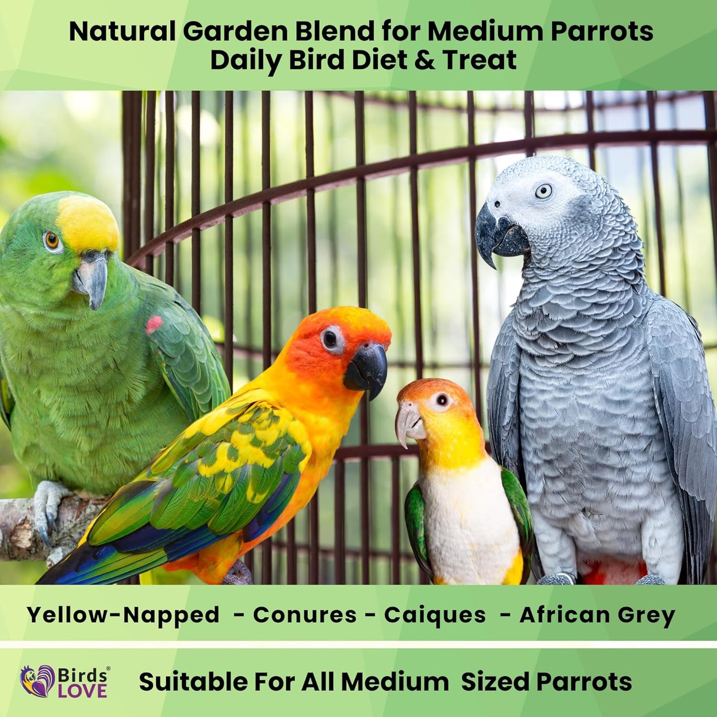 Birds LOVE All Natural Garden Blend Bird Food for Conures - Sunflower Free 4lb