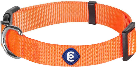 Blueberry Pet X-Small Dog Collar | Girl Dog Collars | Female Dog Collar XS | Quick Release Dog Collar | Florence Orange Nylon Dog Collar for Girl, Collar for Small Dogs