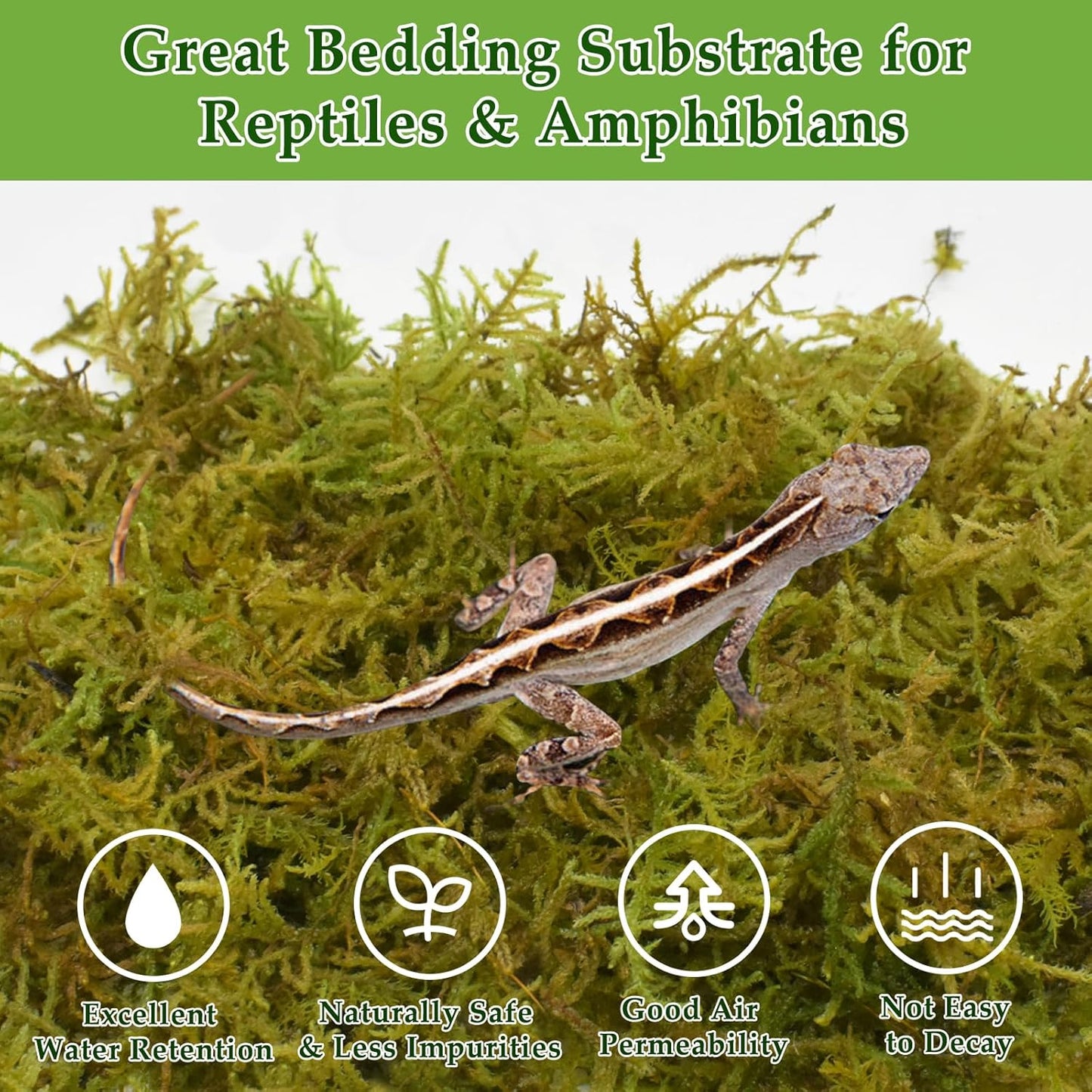 Halatool 1.5LB Natural Sphagnum Moss for Reptiles- 80QT Green Live Moss for Terrarium Plants Long Fiber Reptile Moss for Leopard Gecko Snake Hamsters Tortoises Frogs Lizards Salamanders