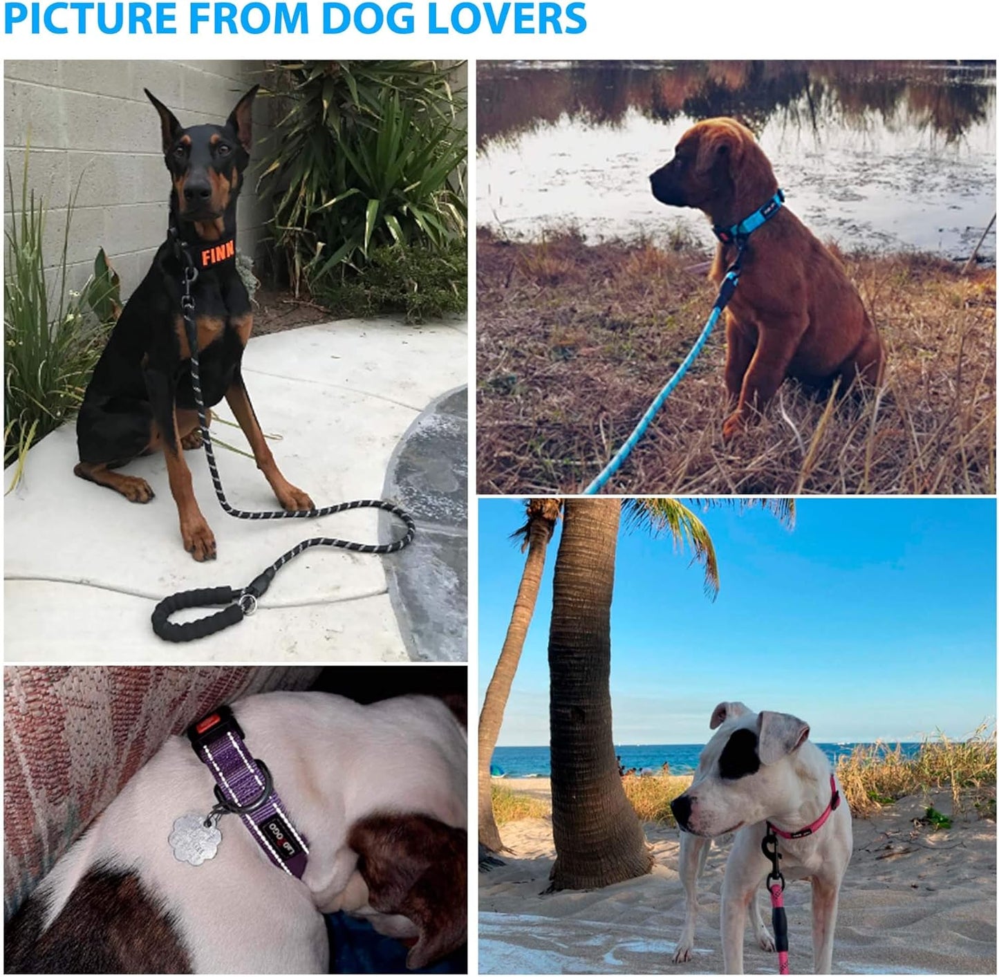 Heavy Duty Dog Leash - Comfortable Padded Handle, 5 ft Long - Dog Leashes for Small Medium Large Dogs (Leash+Collar S Neck 13.5"-16", Purple)