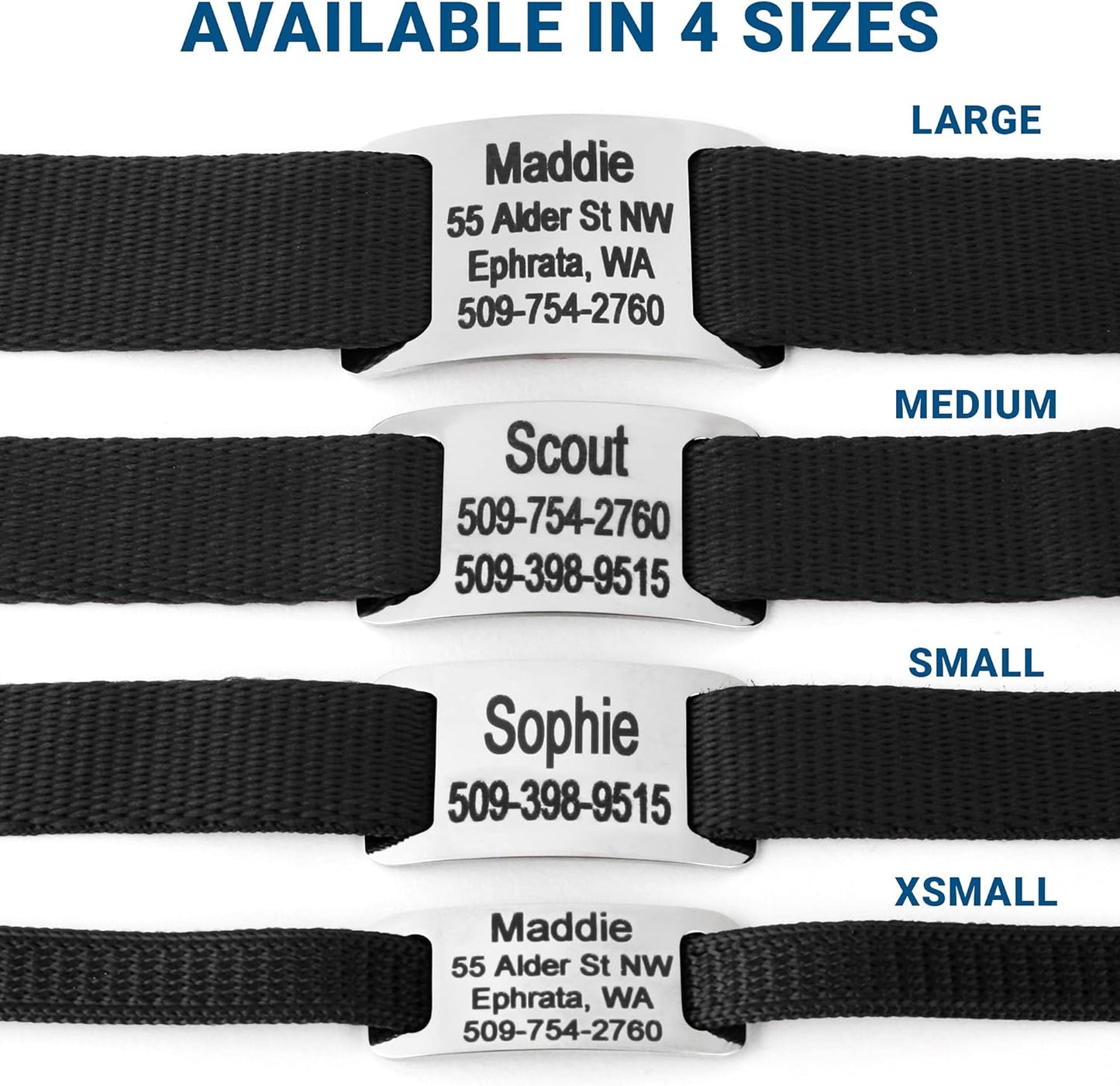 GoTags Personalized Dog Collar with Nameplate, Adjustable Dog Collar with Custom Engraved Slide On Pet ID Tag in Stainless Steel, Silent, No Noise Dog Tag for Large Medium and Small (Black, Medium)