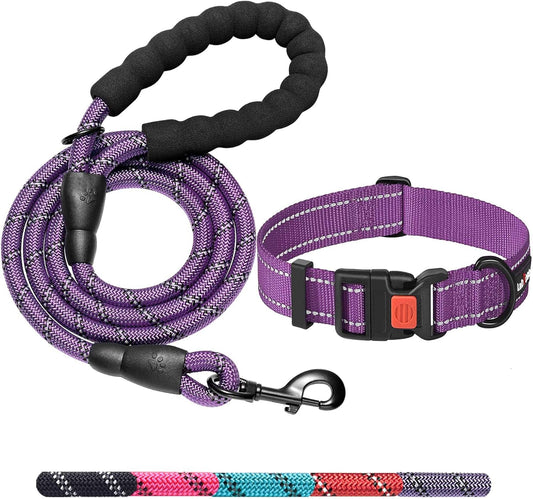 Heavy Duty Dog Leash - Comfortable Padded Handle, 5 ft Long - Dog Leashes for Small Medium Large Dogs (Leash+Collar M Neck 16"-20", Purple)