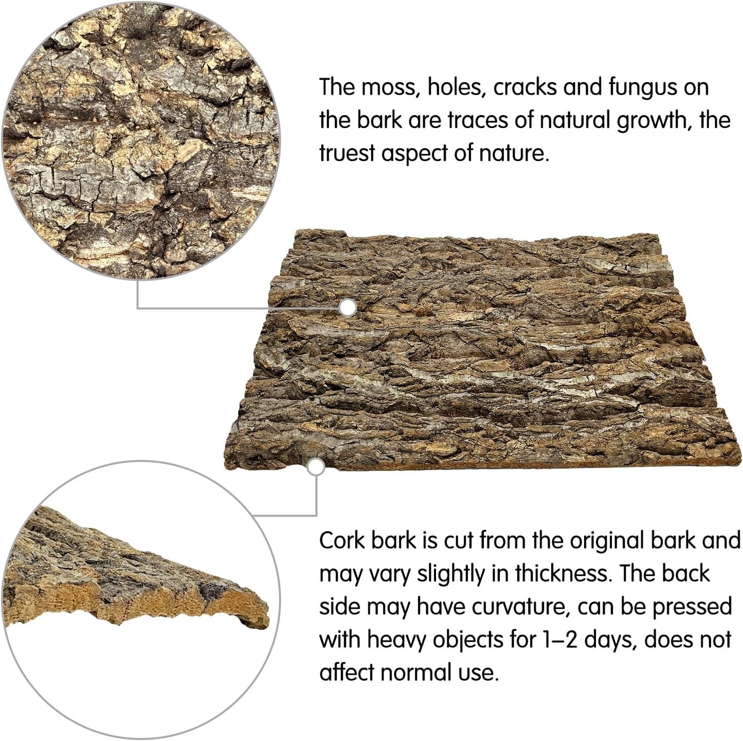 kathson 2PCS Cork Tile Background Bark 11.8”Lx7.9”W Terrarium Backdrop Wall Decor Natural Reptile Climbing Mat Habitat Decor for Spider Gecko Lizard Chameleon Bearded Dragon Turtle Snake