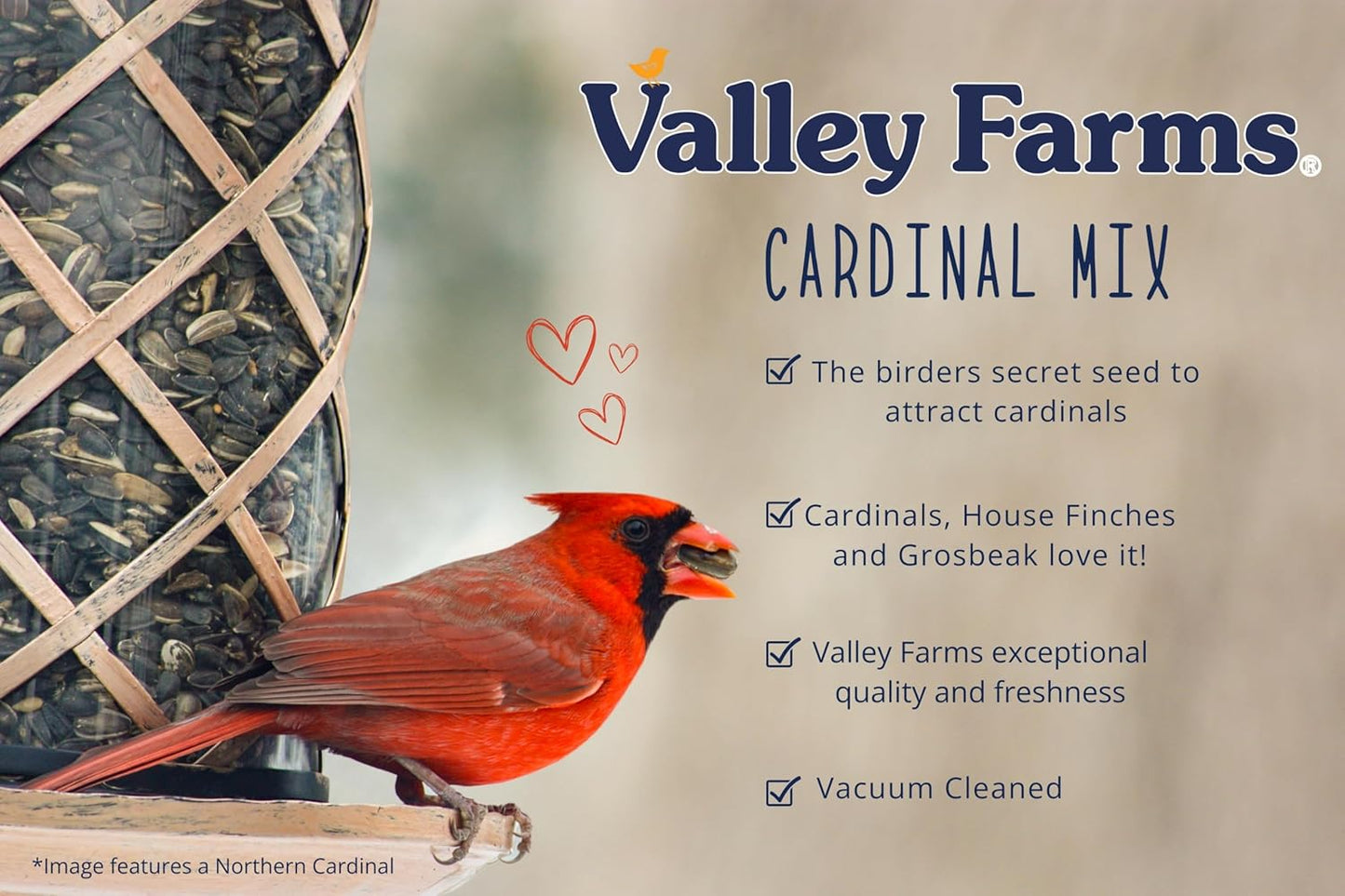 Valley Farms Cardinal Mix (10 LB) Wild Bird Food for Outside Feeders, Cardinal Bird Seed with Black Oil Sunflower Seeds and Safflower Seeds, Attract a Variety of Wild Birds