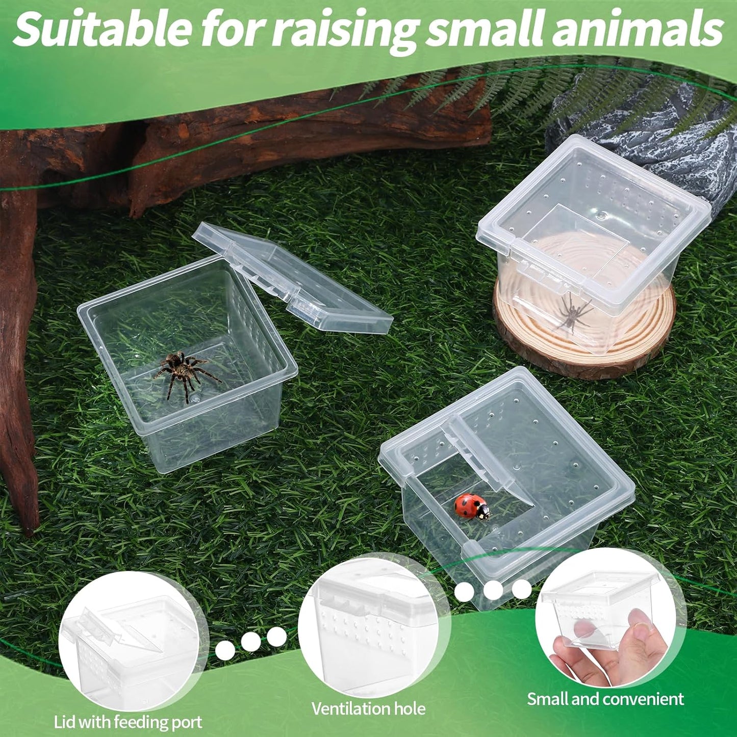 10Pcs Plastic Critter Keeper,Transparent Cricket Keeper for Reptiles,Mini Reptile Feeding Box Kids Bug Catching Kit Suitable for Crickets Scorpions Frogs Centipedes Lizards PP Breeding Box