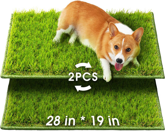 Hompet Artificial Grass for Dogs, 28"x19", Professional Dog Grass Mat, Easy to Clean with Drainage Holes, Potty Training Pad and Replacement Fake Grass Turf, Outdoor Rug Patio Lawn Decoration
